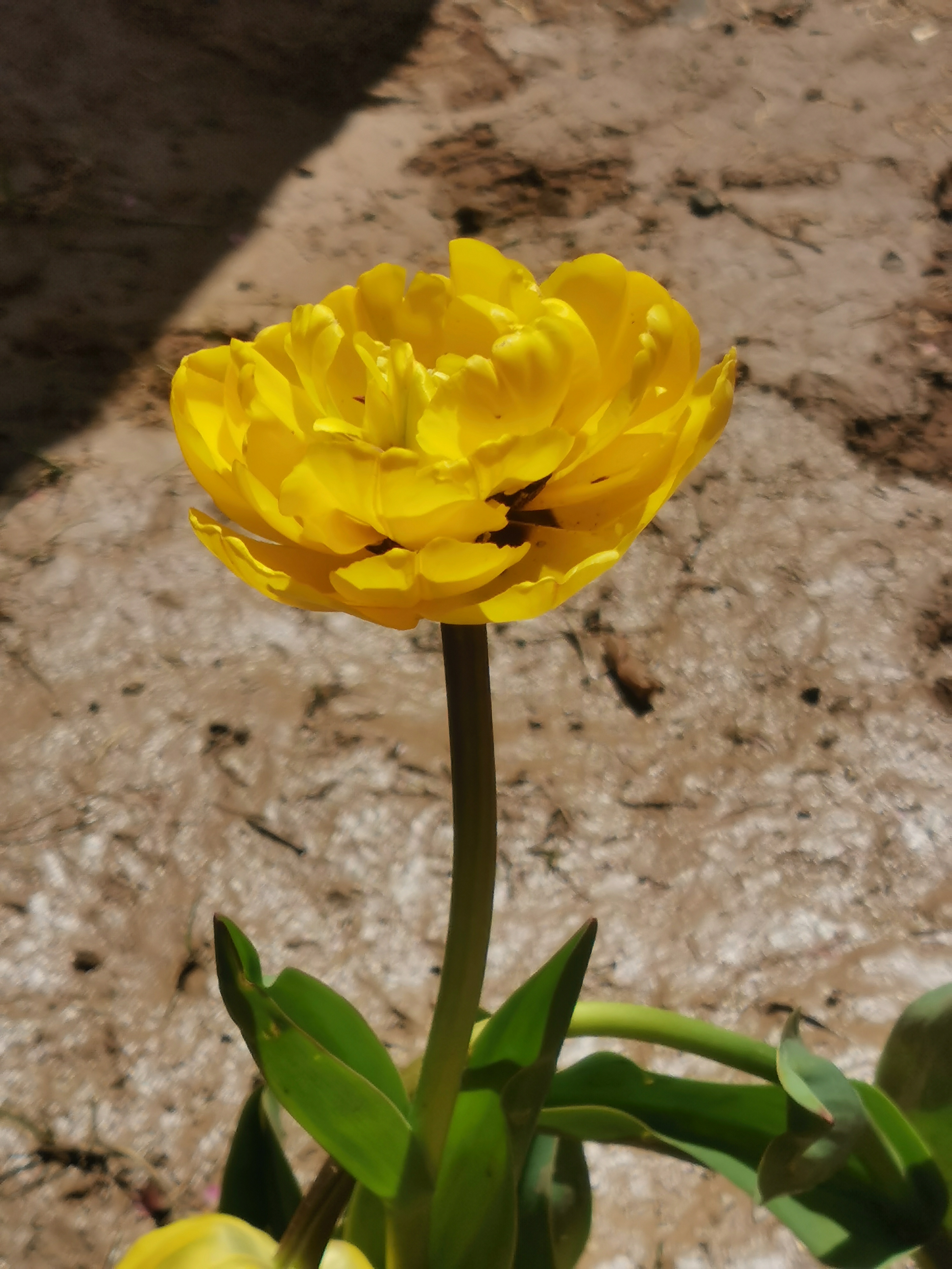 IMG_20210417_113001.jpg