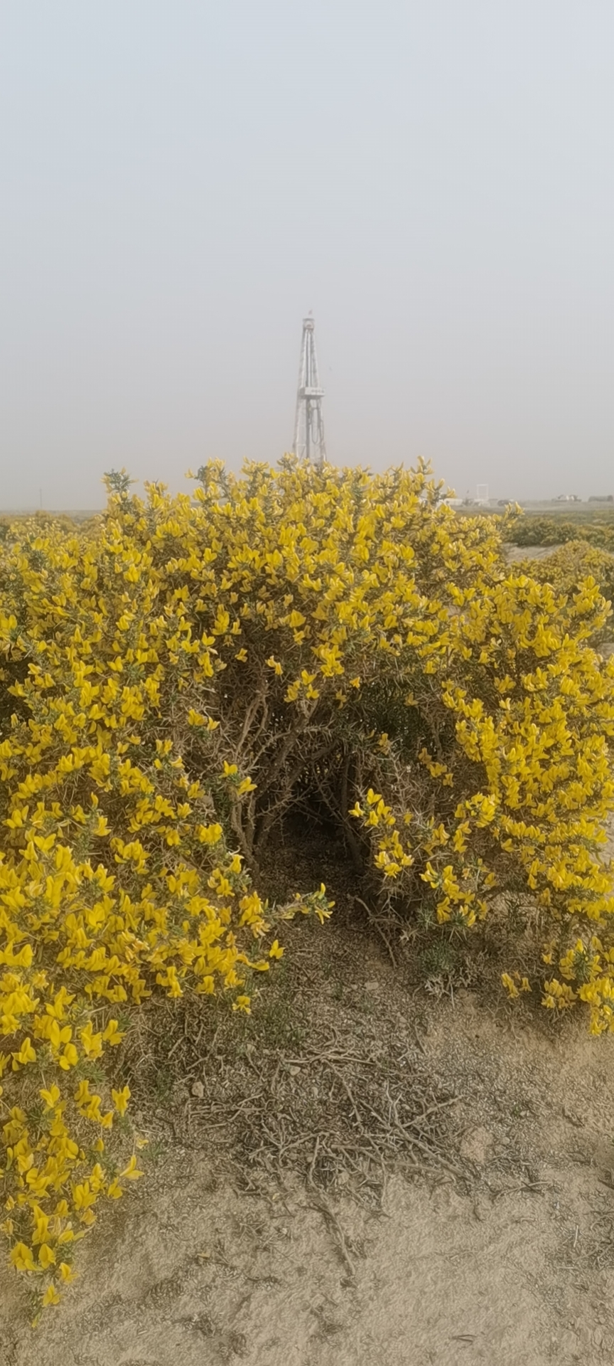 wx_camera_1620349283032.jpg