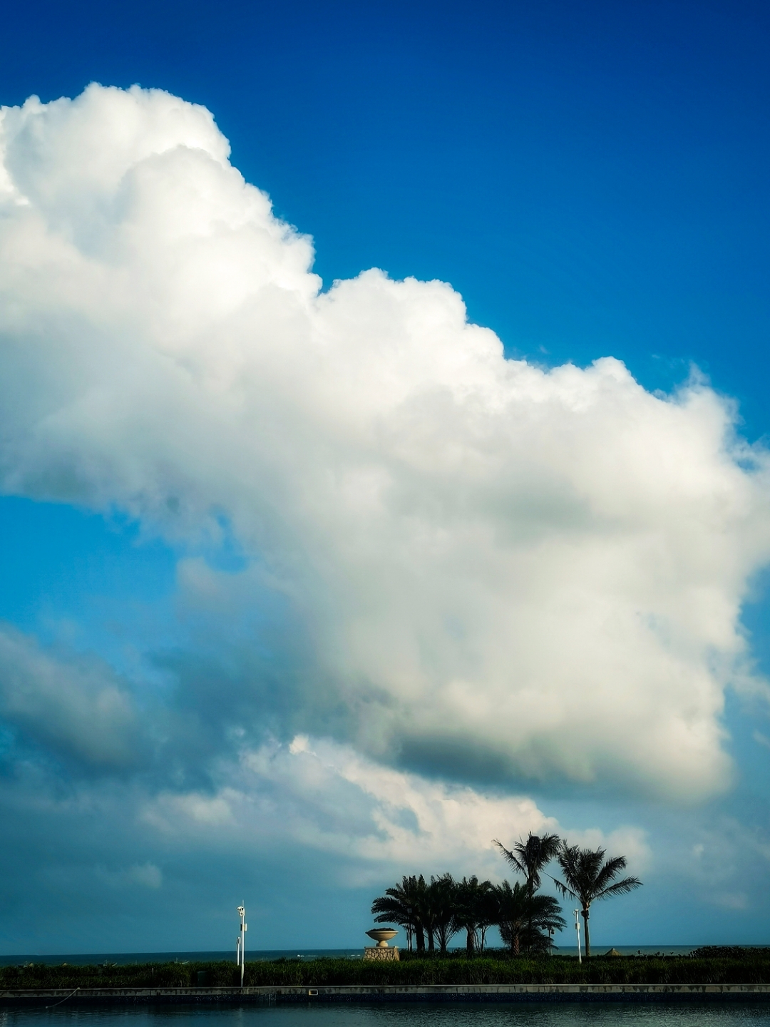 IMG_20210514_175411-01.jpg