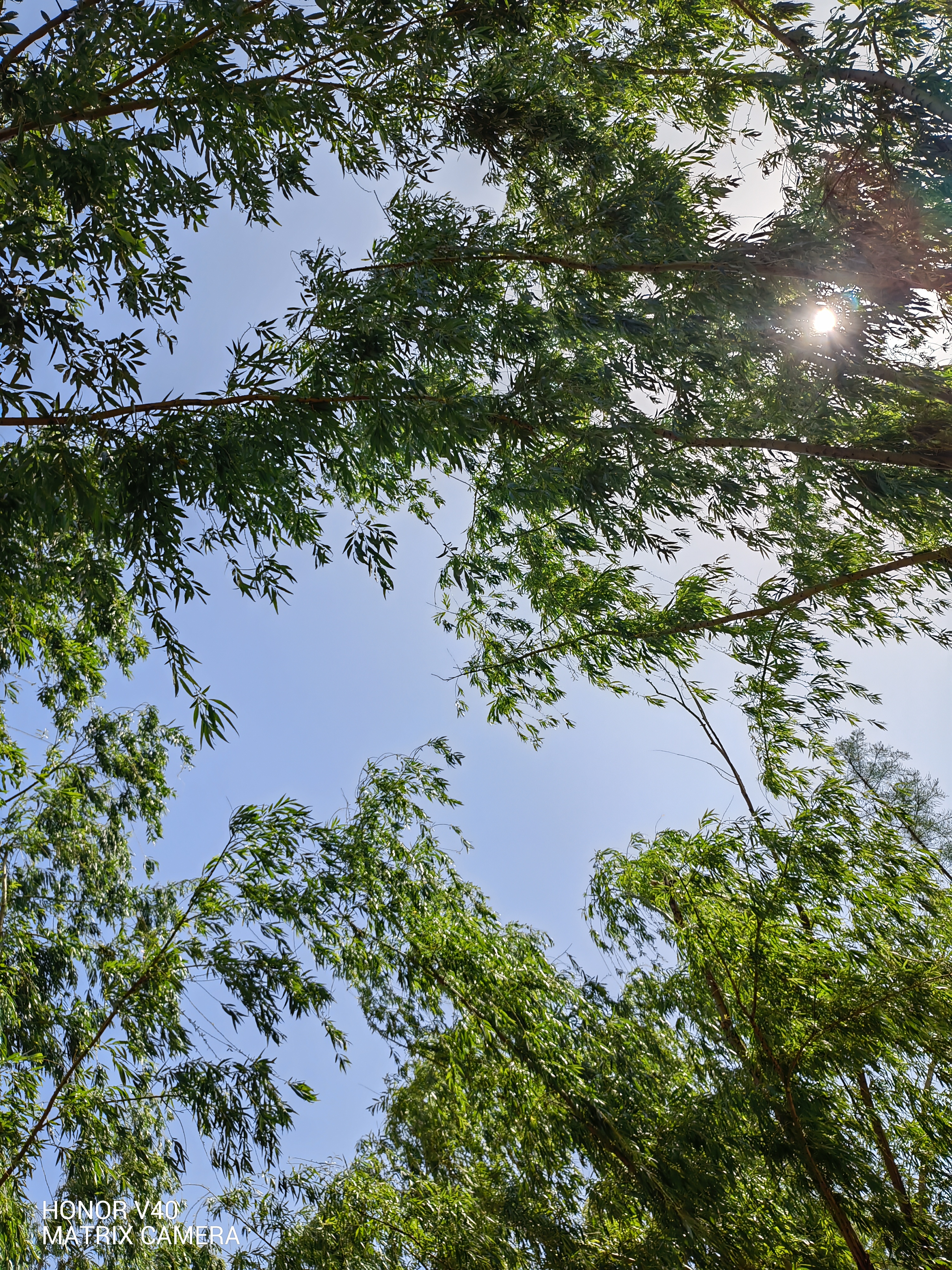 IMG_20210505_093856.jpg