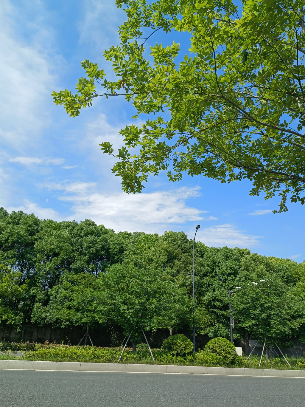 IMG_20210515_145153.jpg