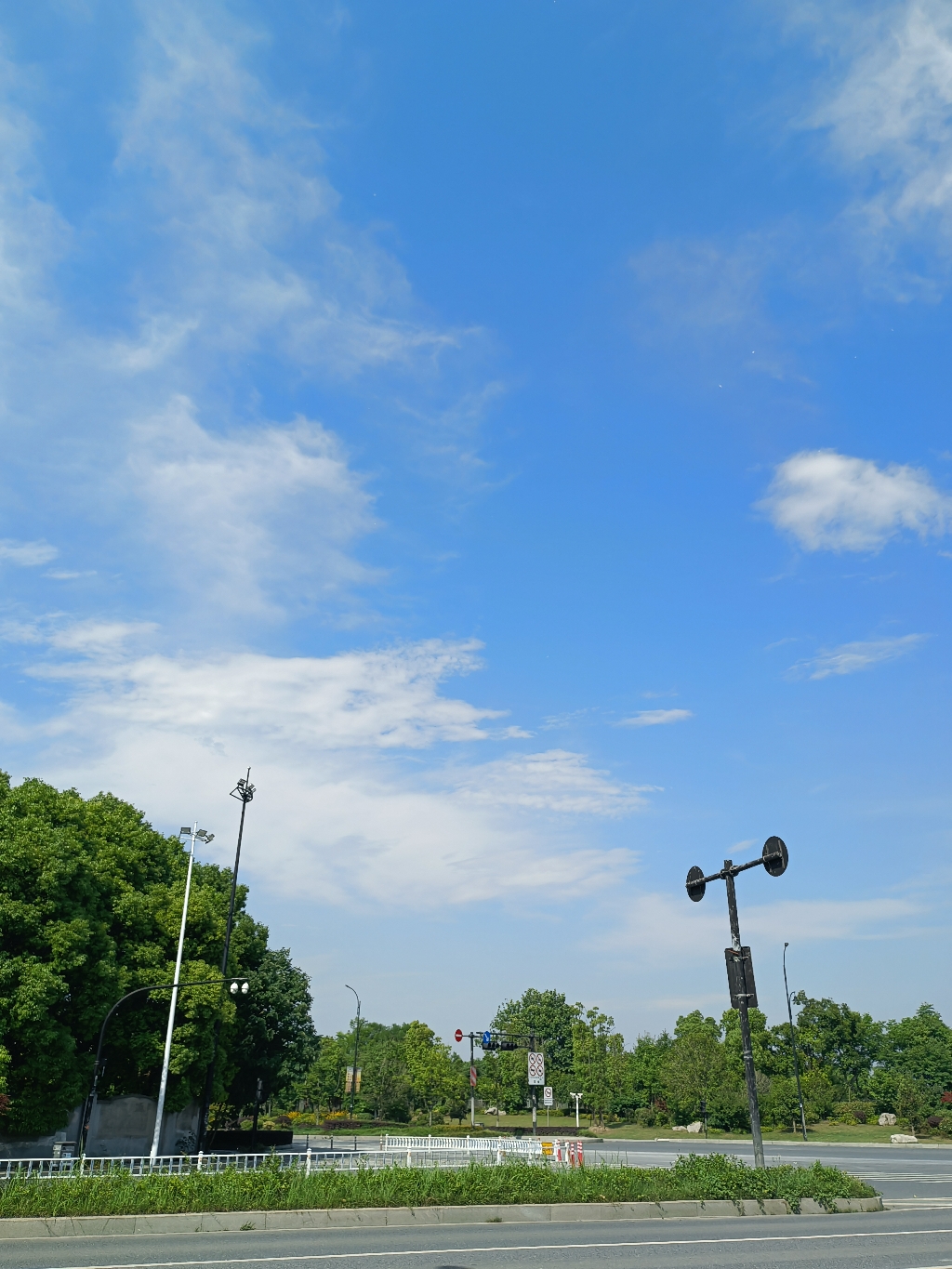 IMG_20210515_145214.jpg