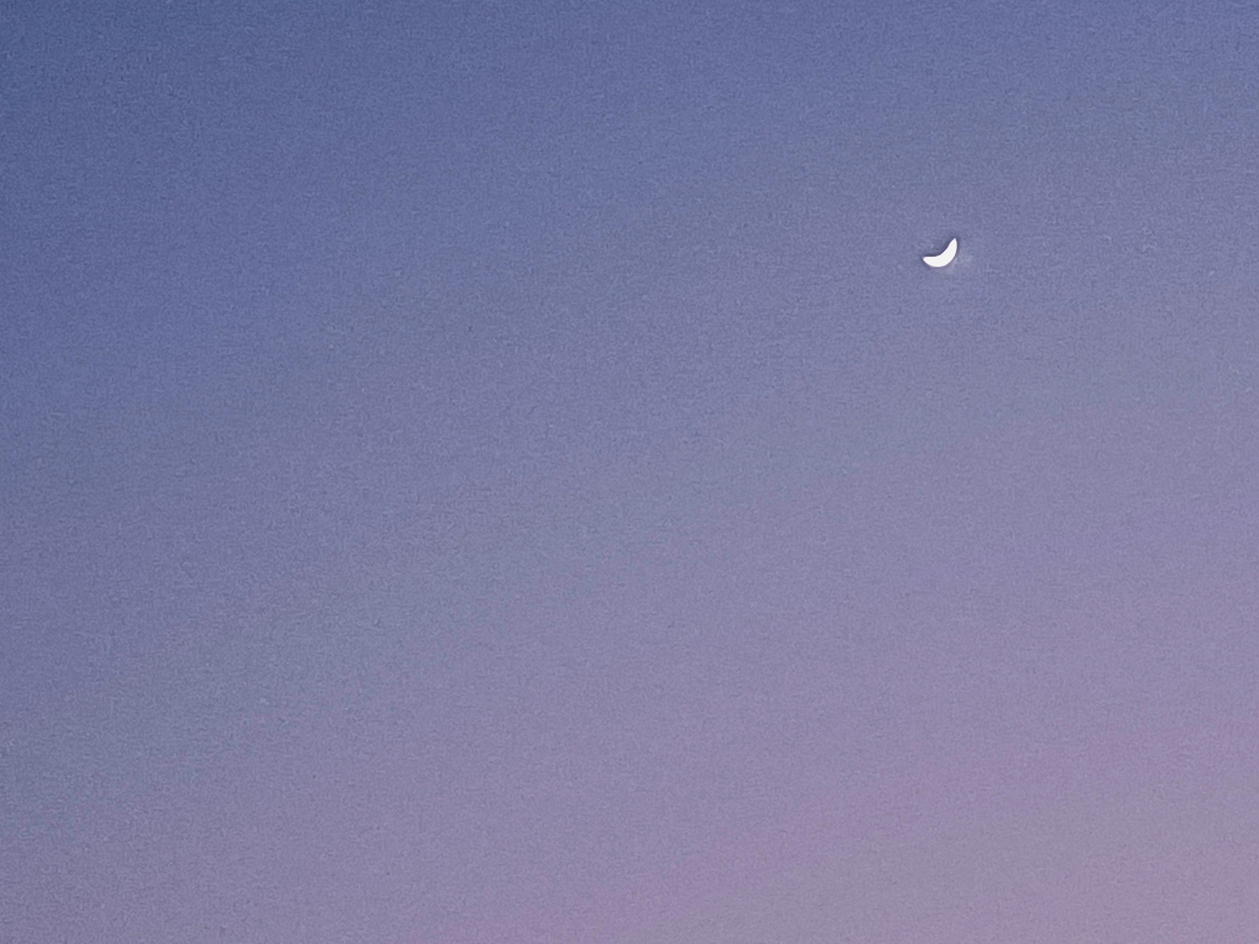 IMG_20210117_183001.jpg