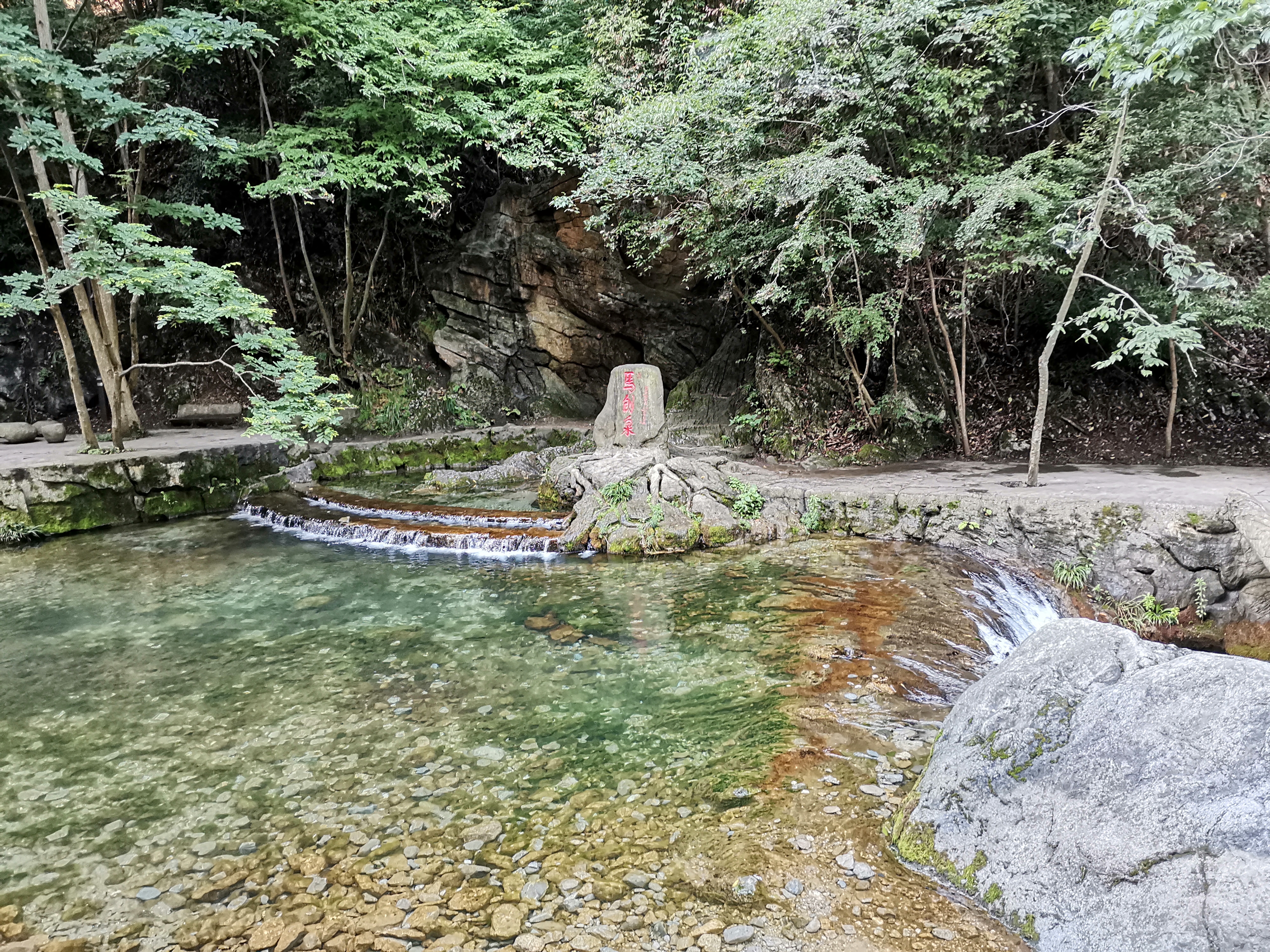 IMG_20190731_084836.jpg