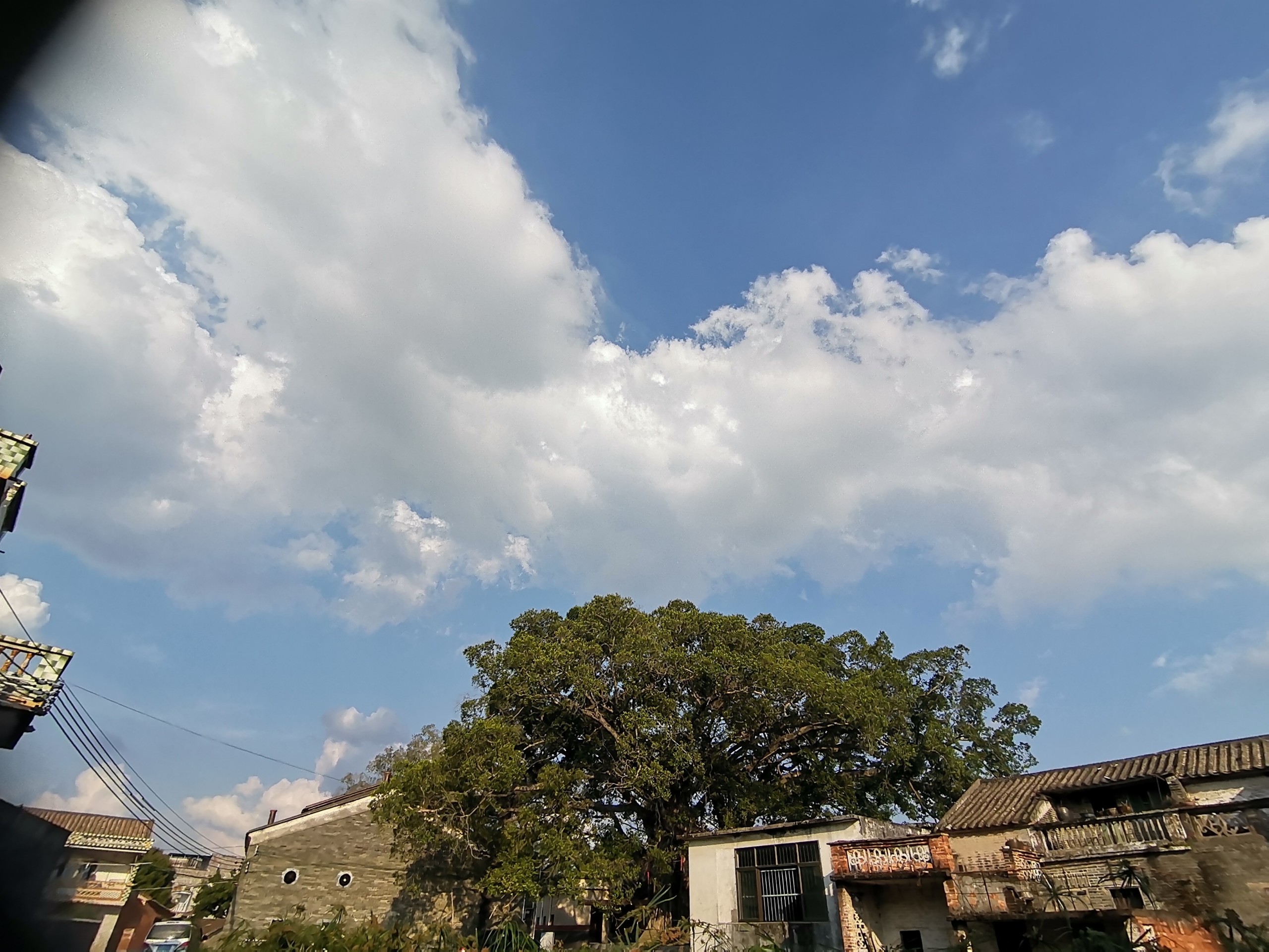 IMG_20210514_172510.jpg