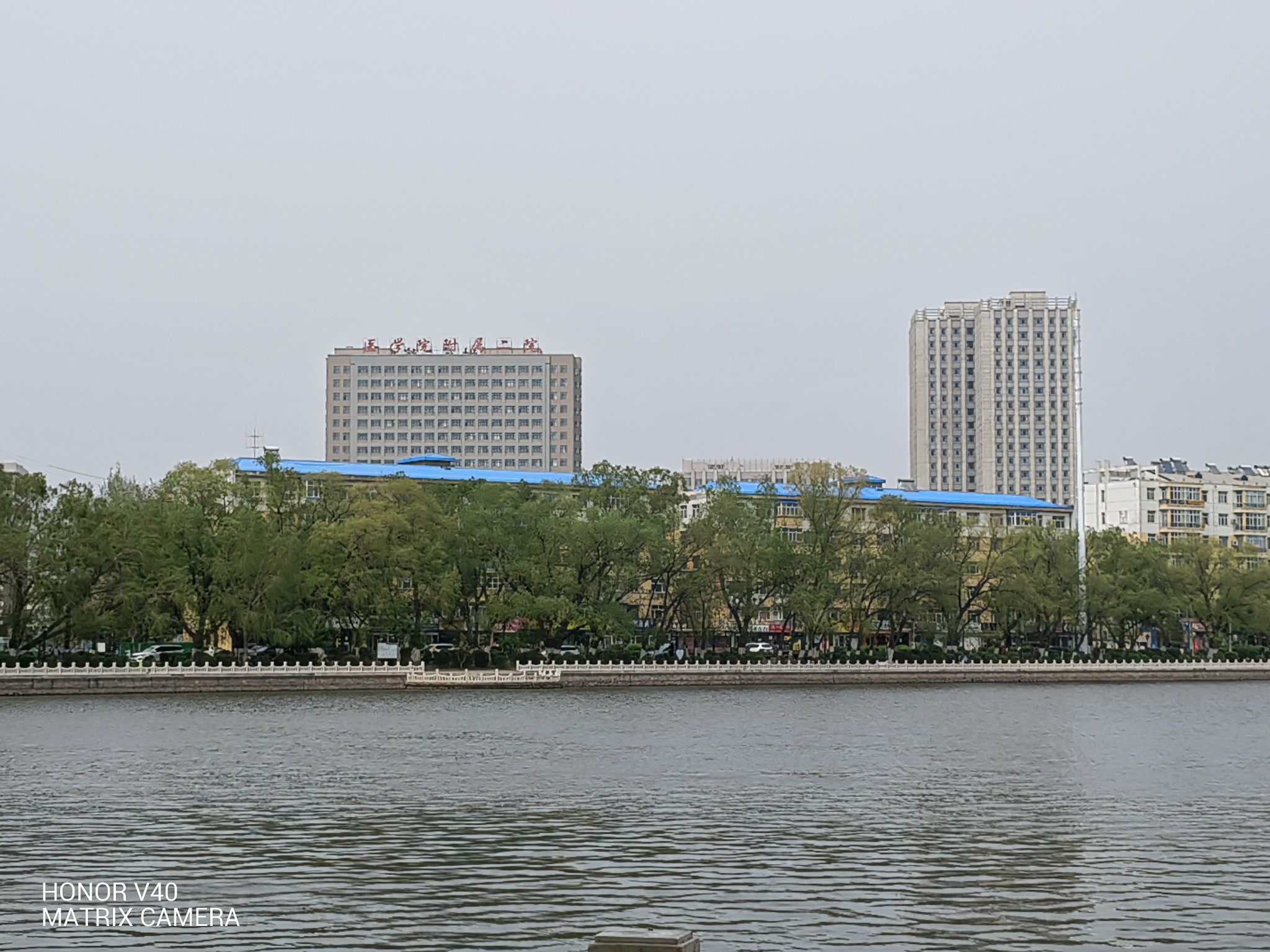 IMG_20210514_132130.jpg