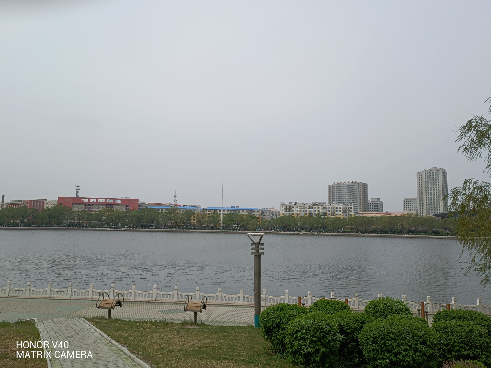 IMG_20210514_131632.jpg