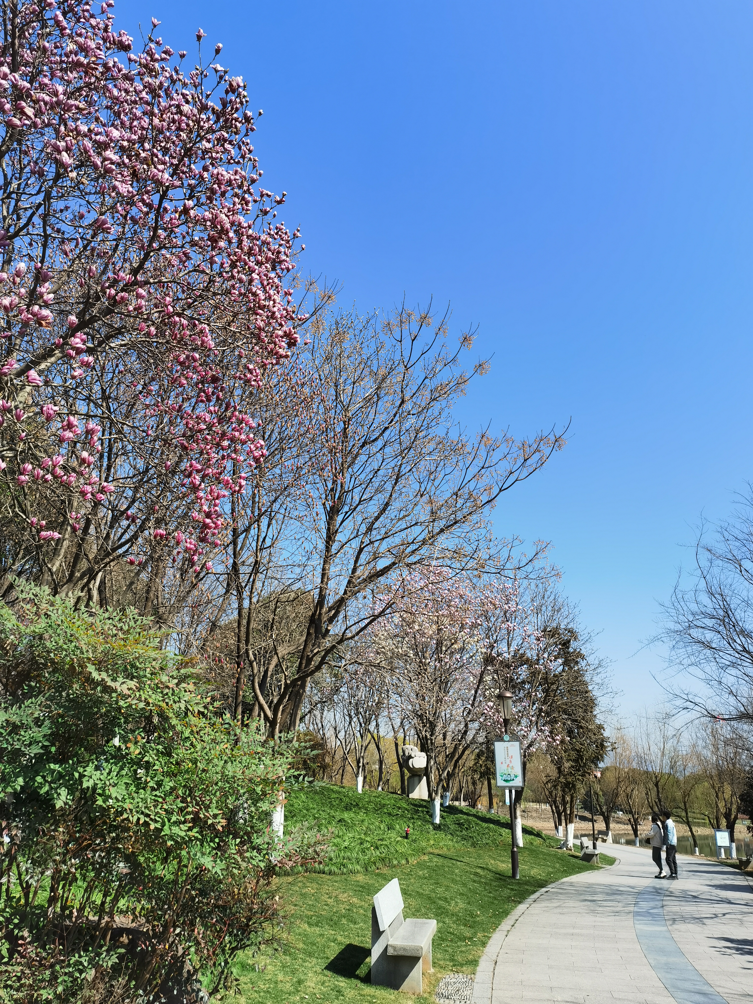IMG_20210221_112858.jpg