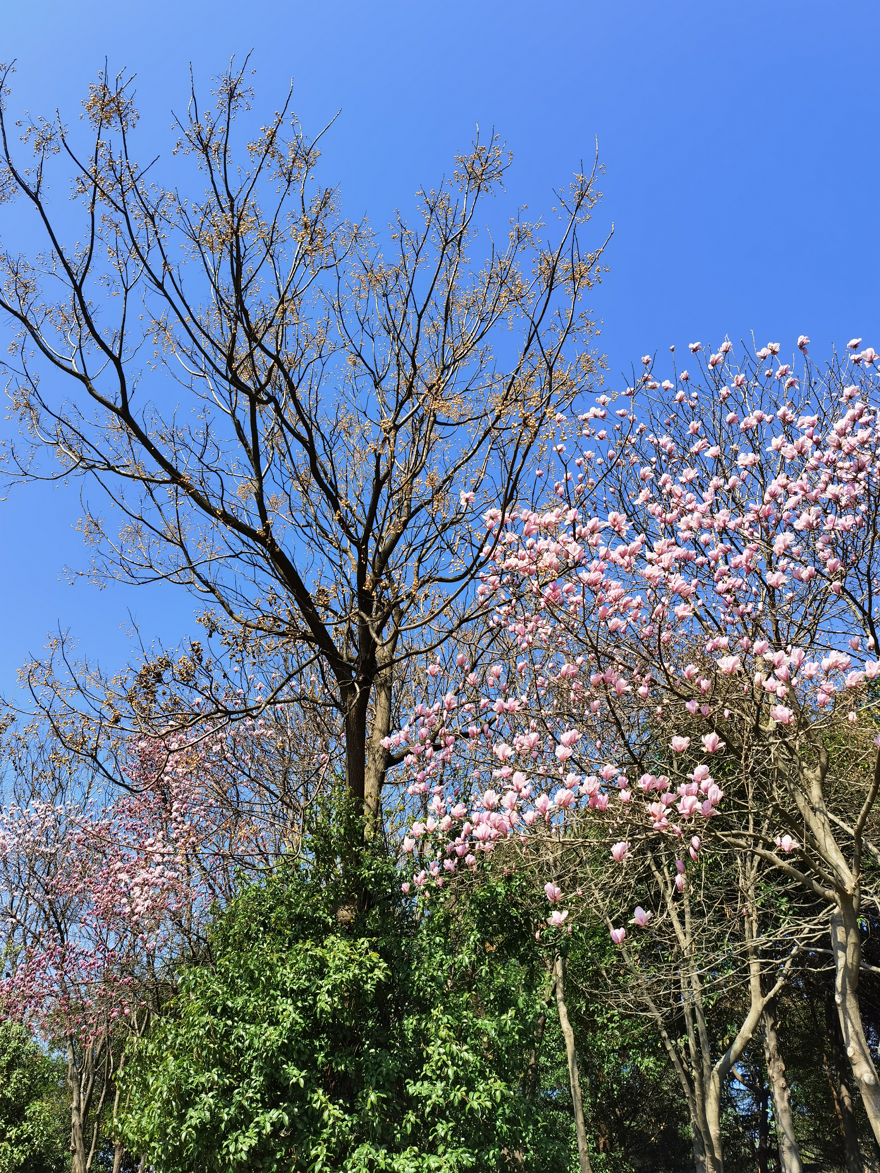 IMG_20210221_112850.jpg