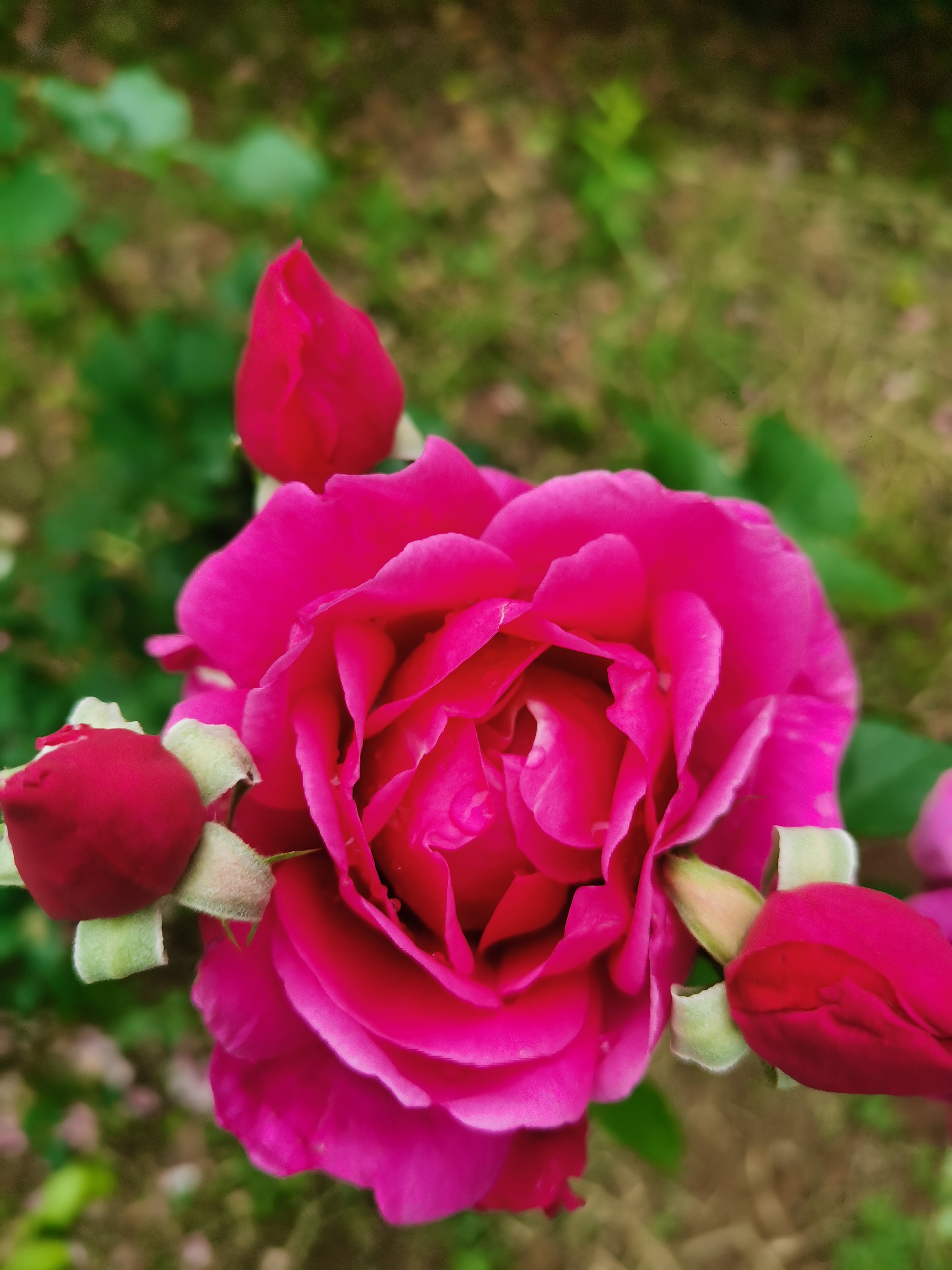 IMG_20210516_114852.jpg