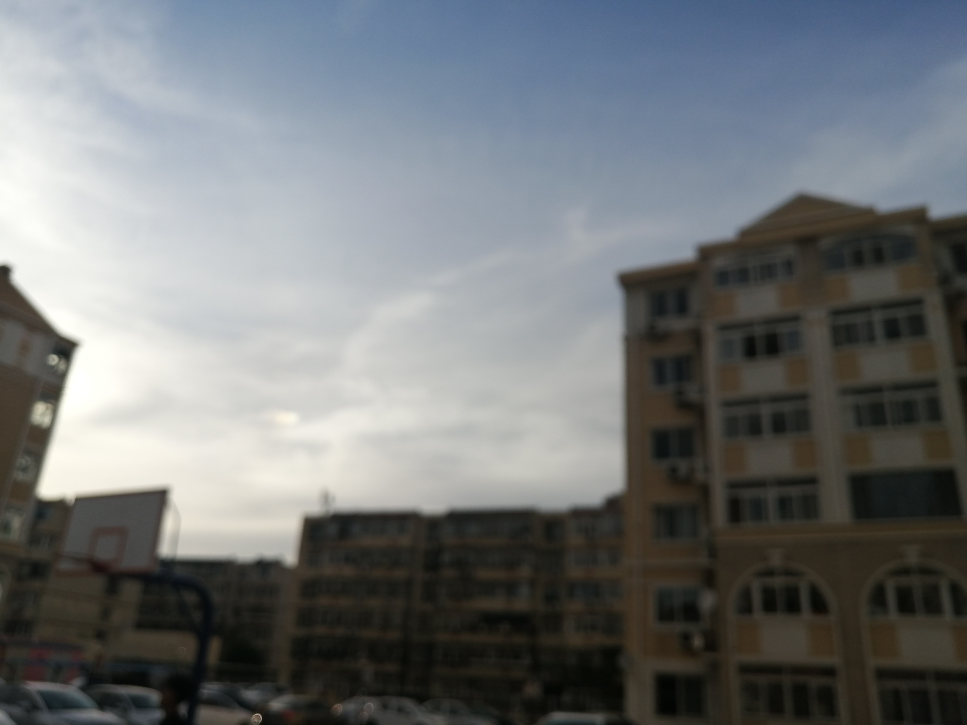 IMG_20210516_174020.jpg