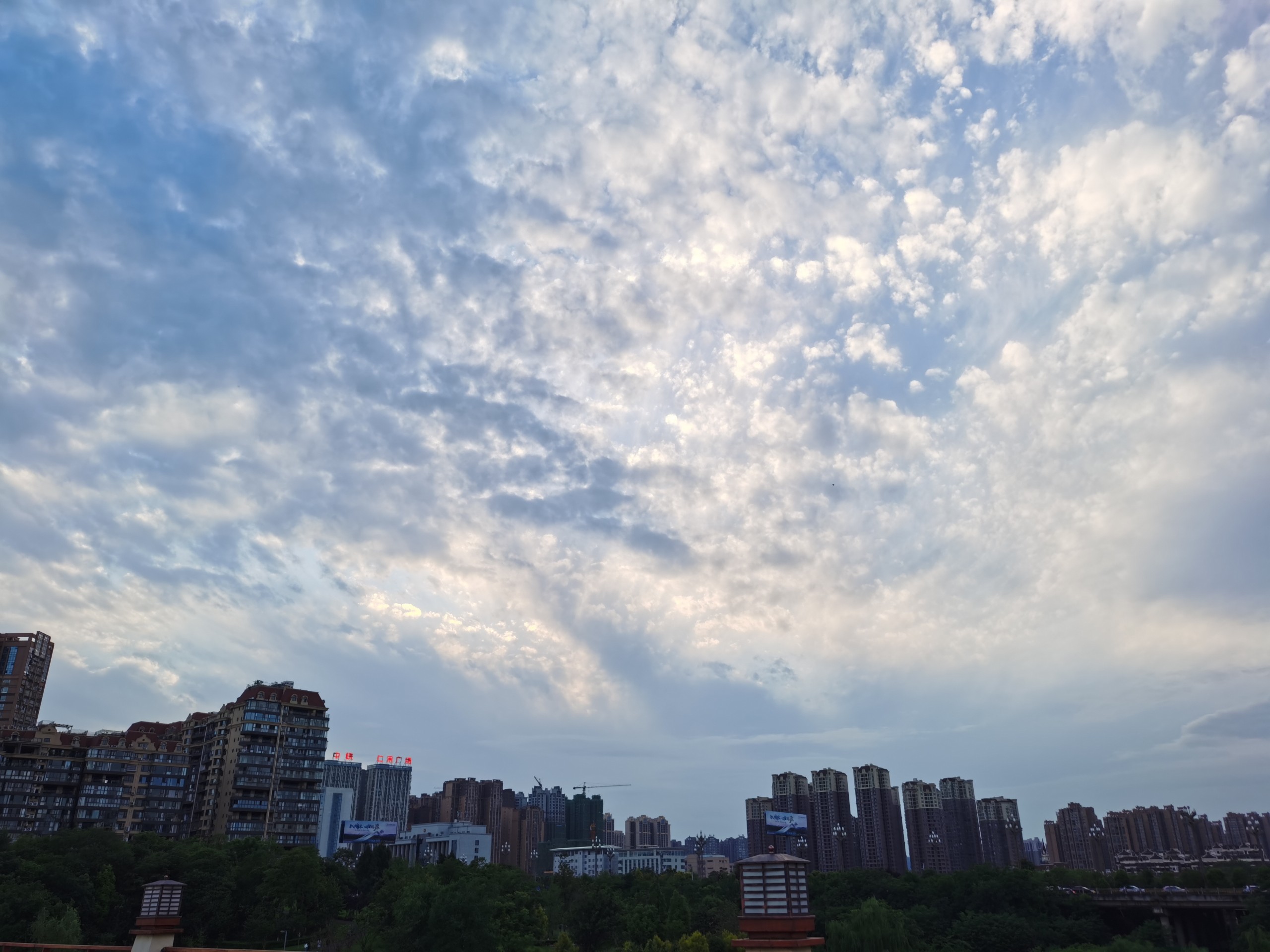 IMG_20210516_192434.jpg