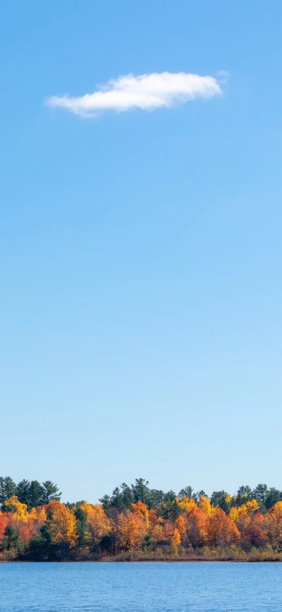 mmexport1621085637712.jpg