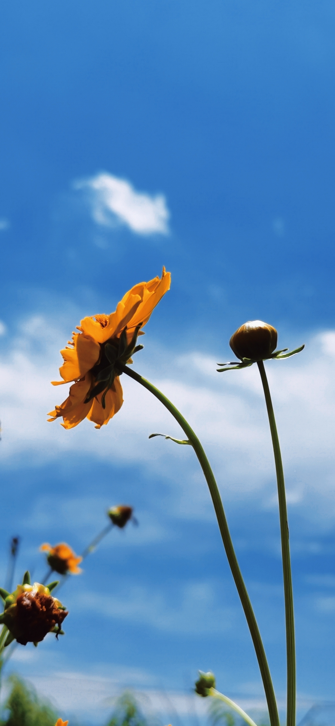 retouch_2021051613315381.jpg