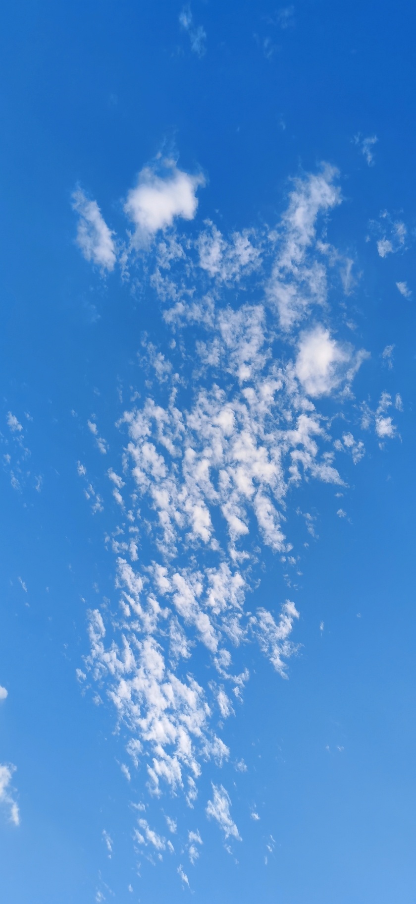 retouch_2021051616165894.jpg