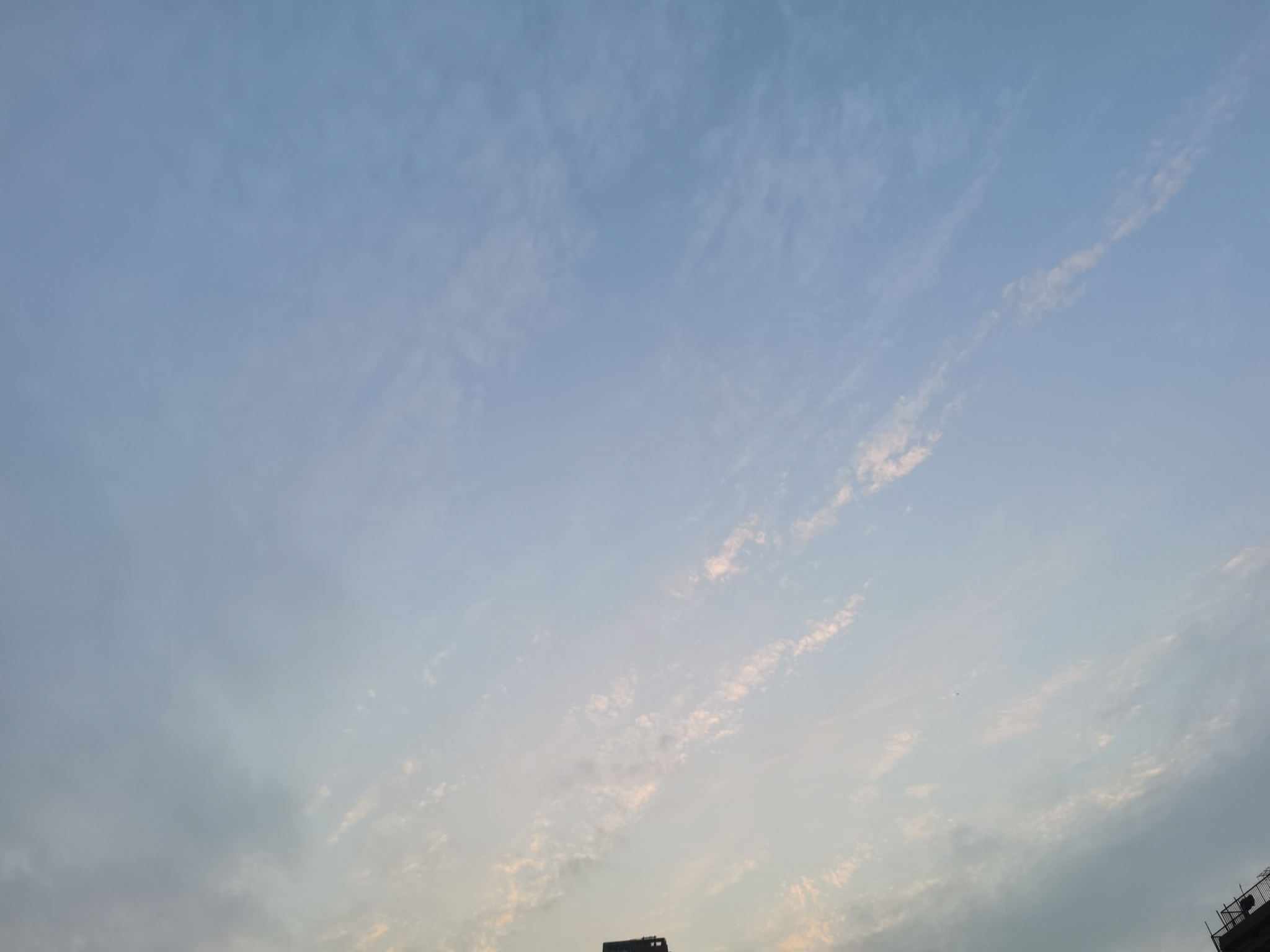 IMG_20210428_185914.jpg