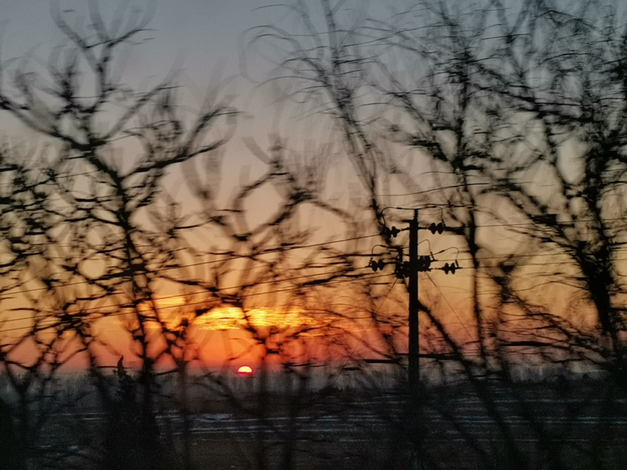 IMG_20201225_072332.jpg
