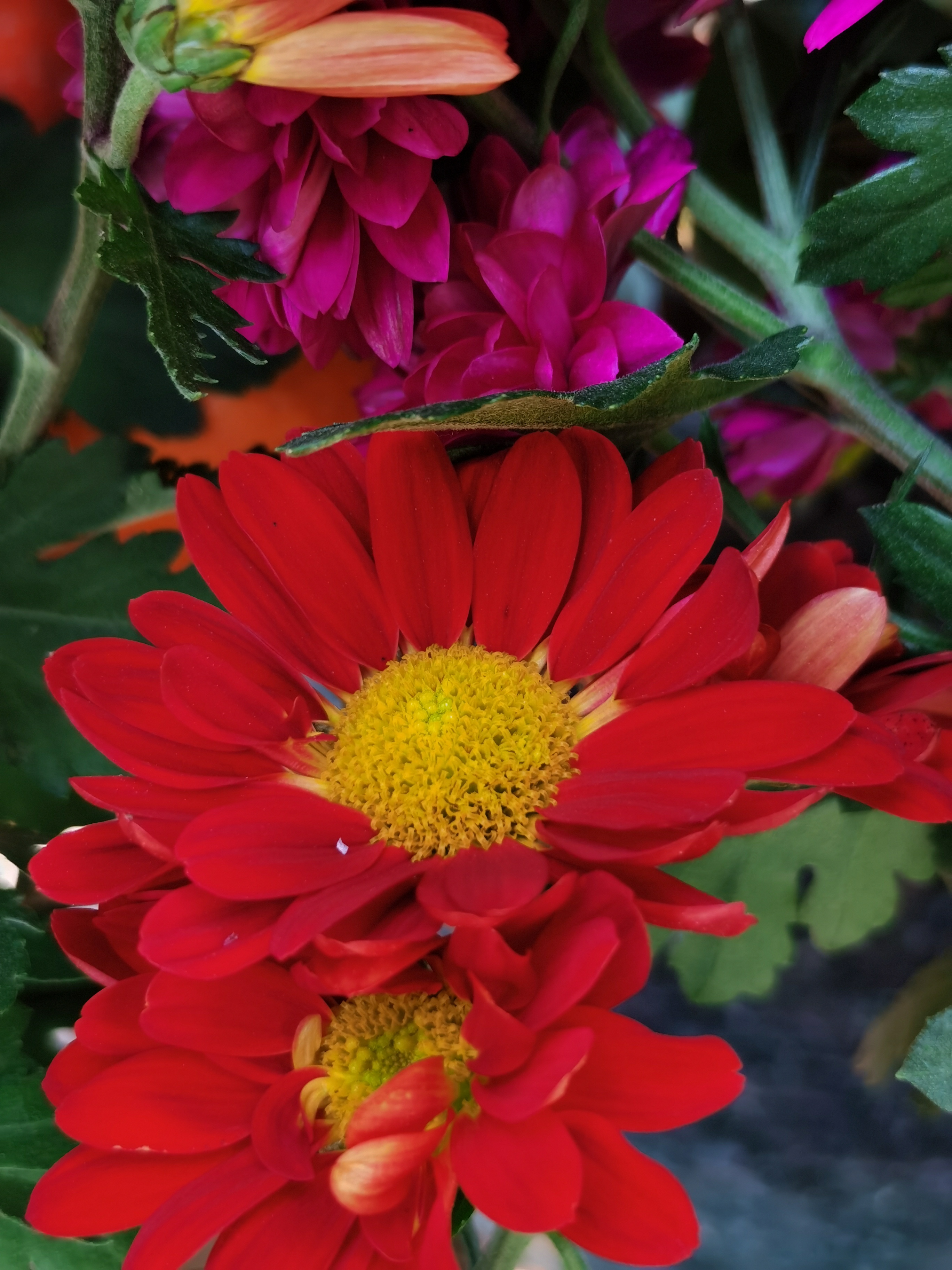 IMG_20210216_100043.jpg