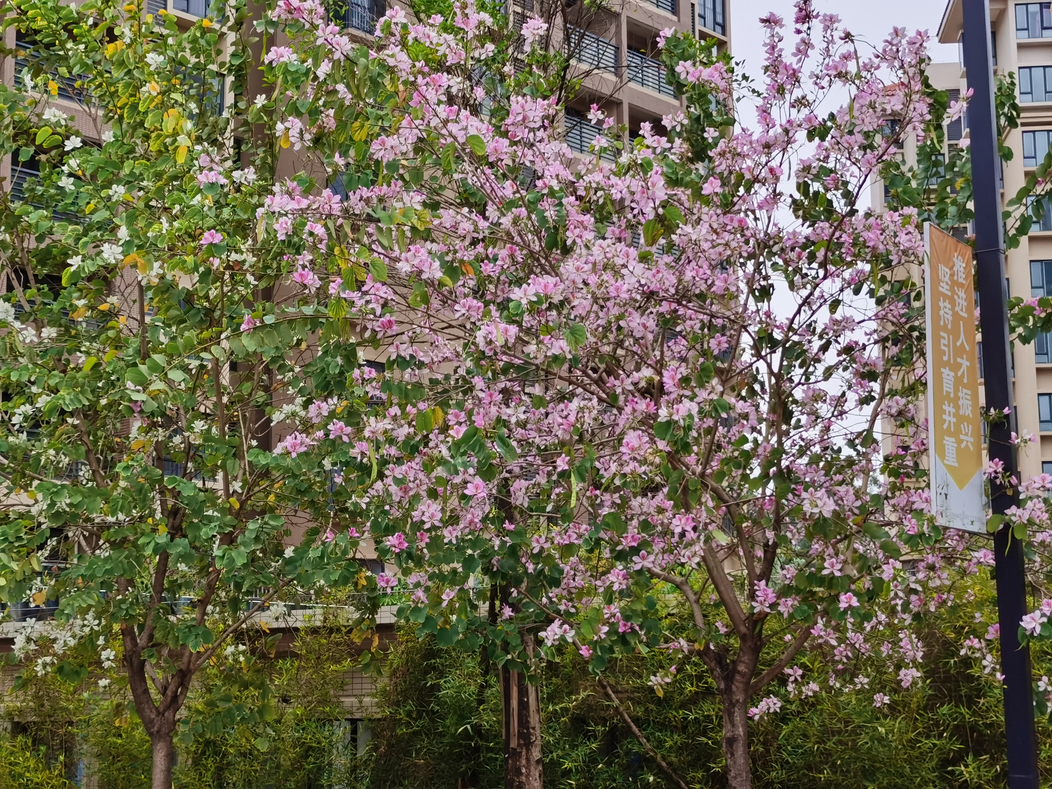 IMG_20210227_110630.jpg