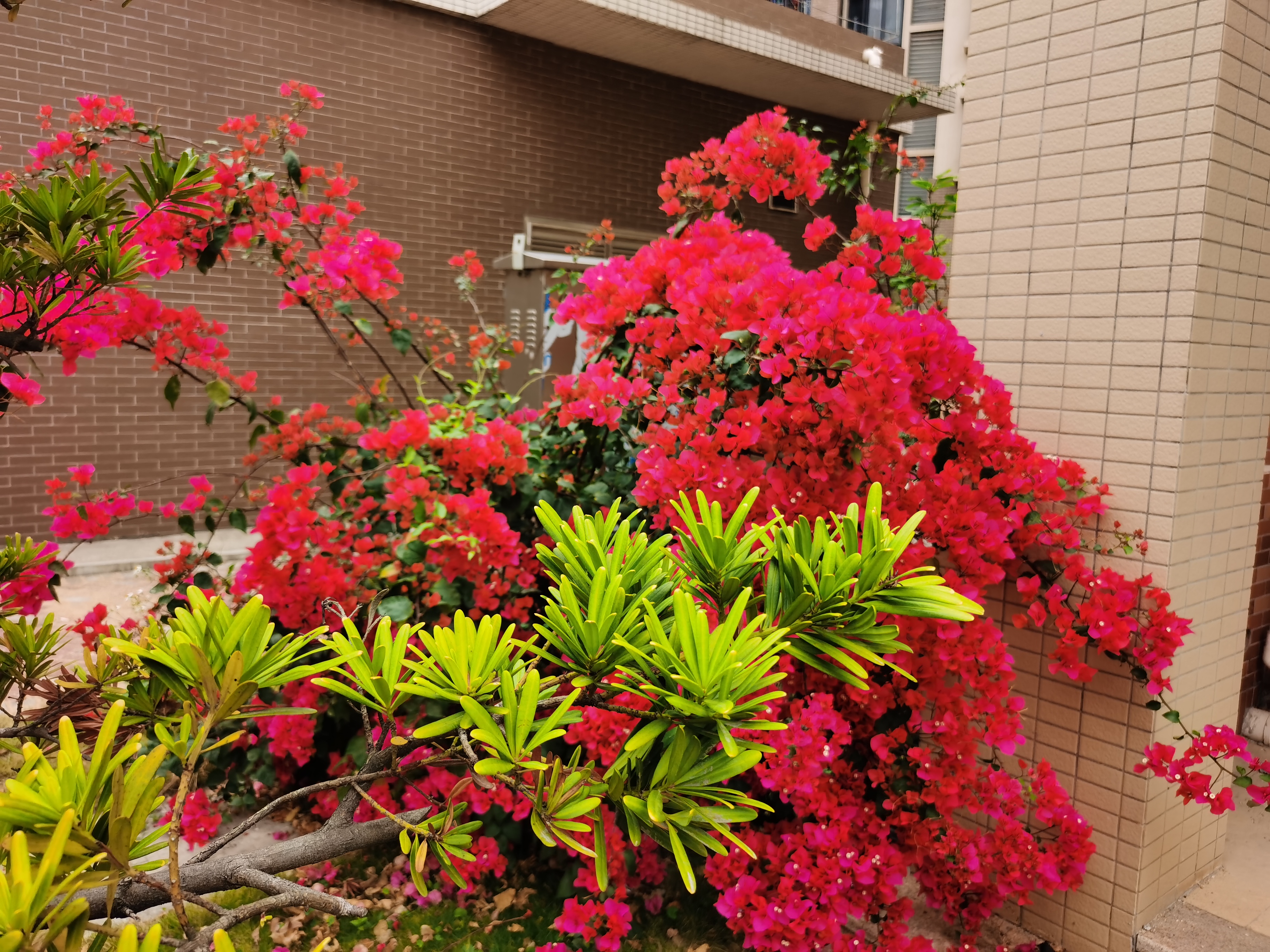 IMG_20210226_101615.jpg
