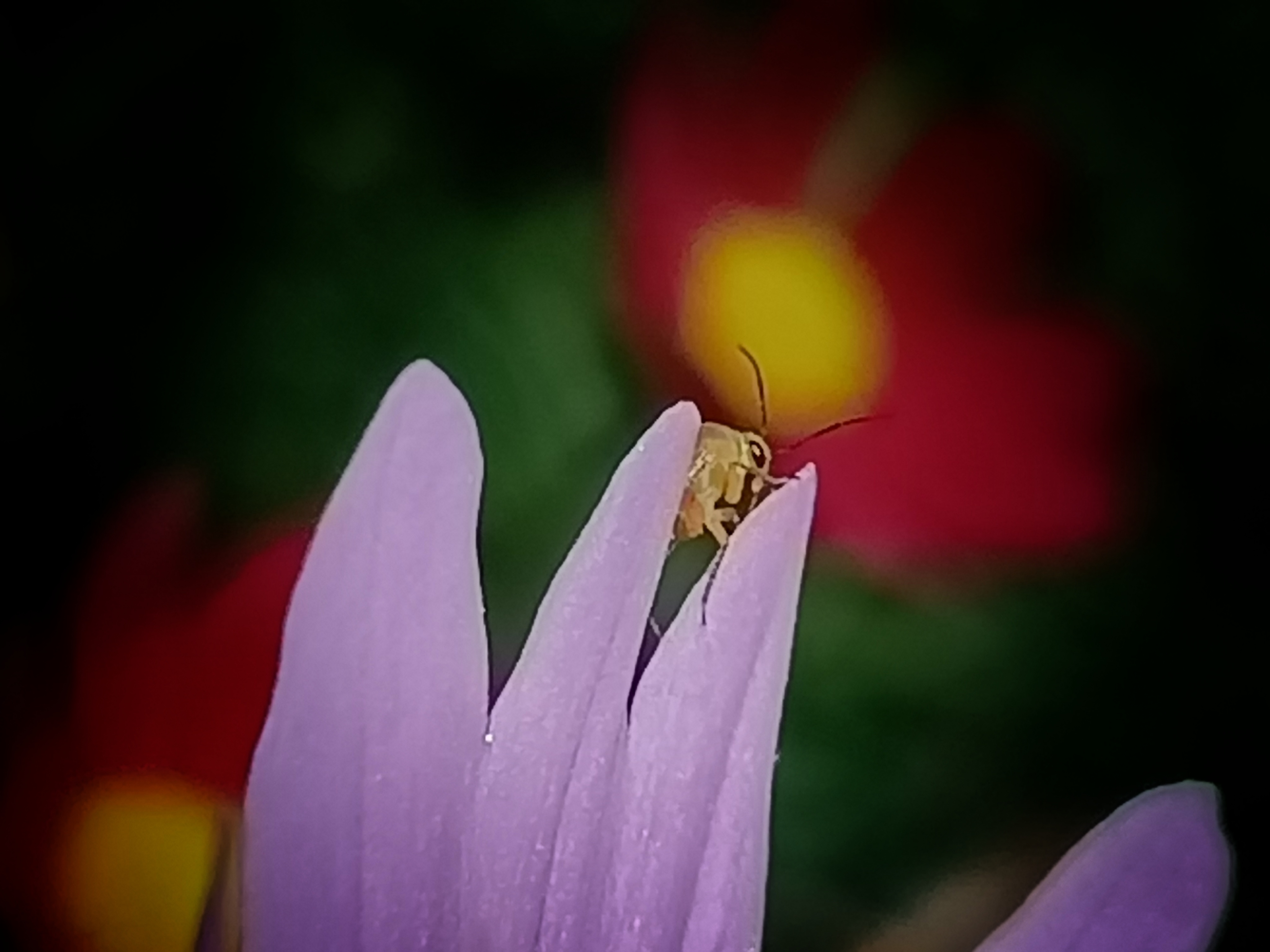 IMG_20210516_114900-01.jpeg