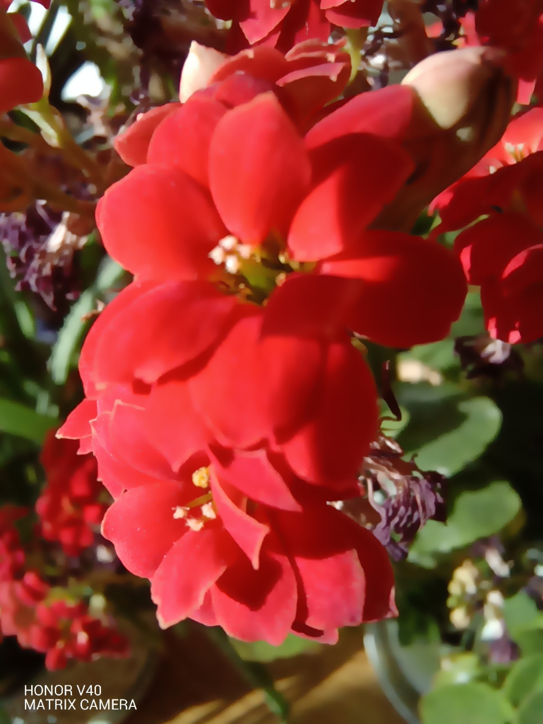 IMG_20210130_100410.jpg