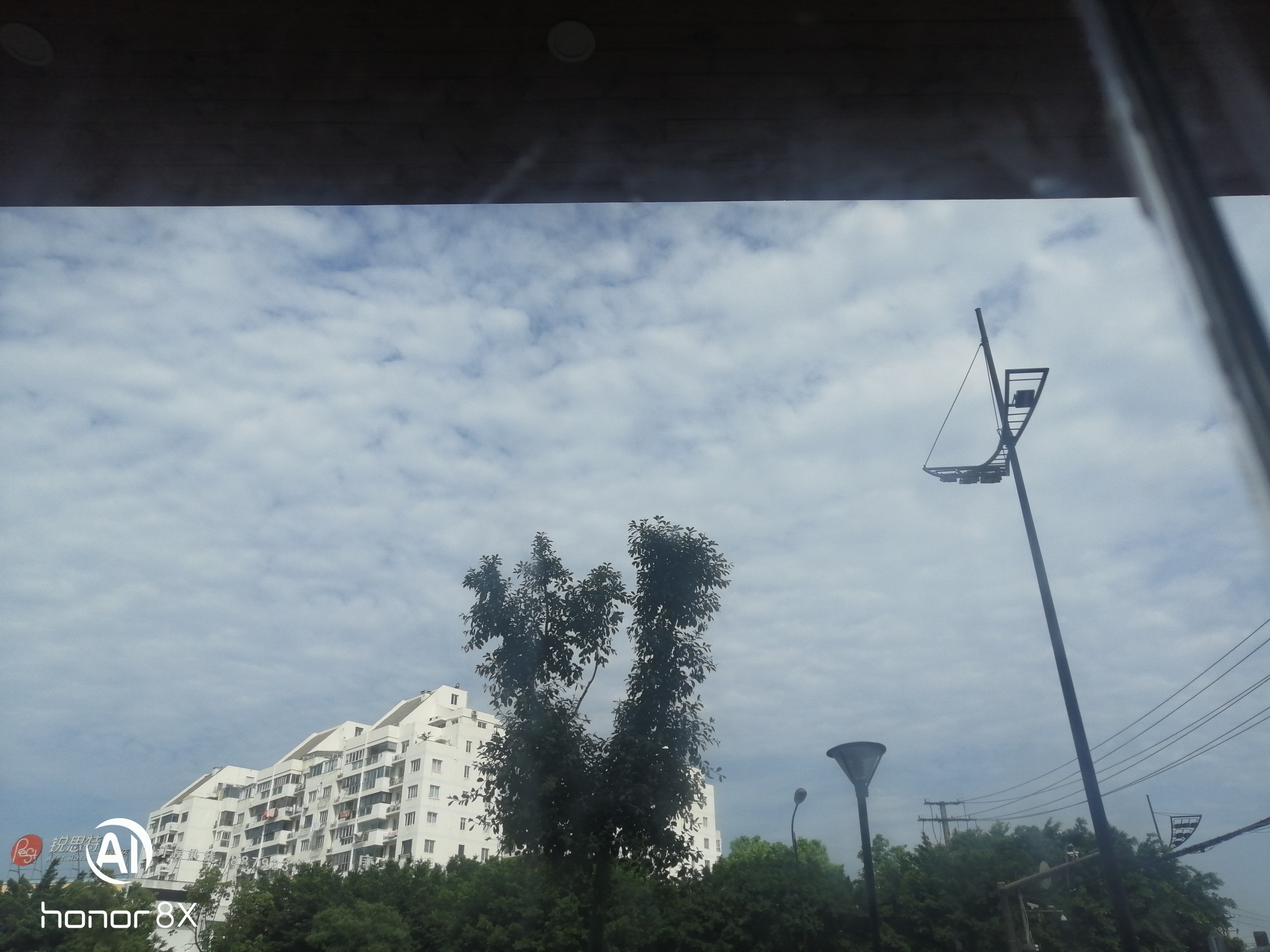 IMG_20210506_091041.jpg