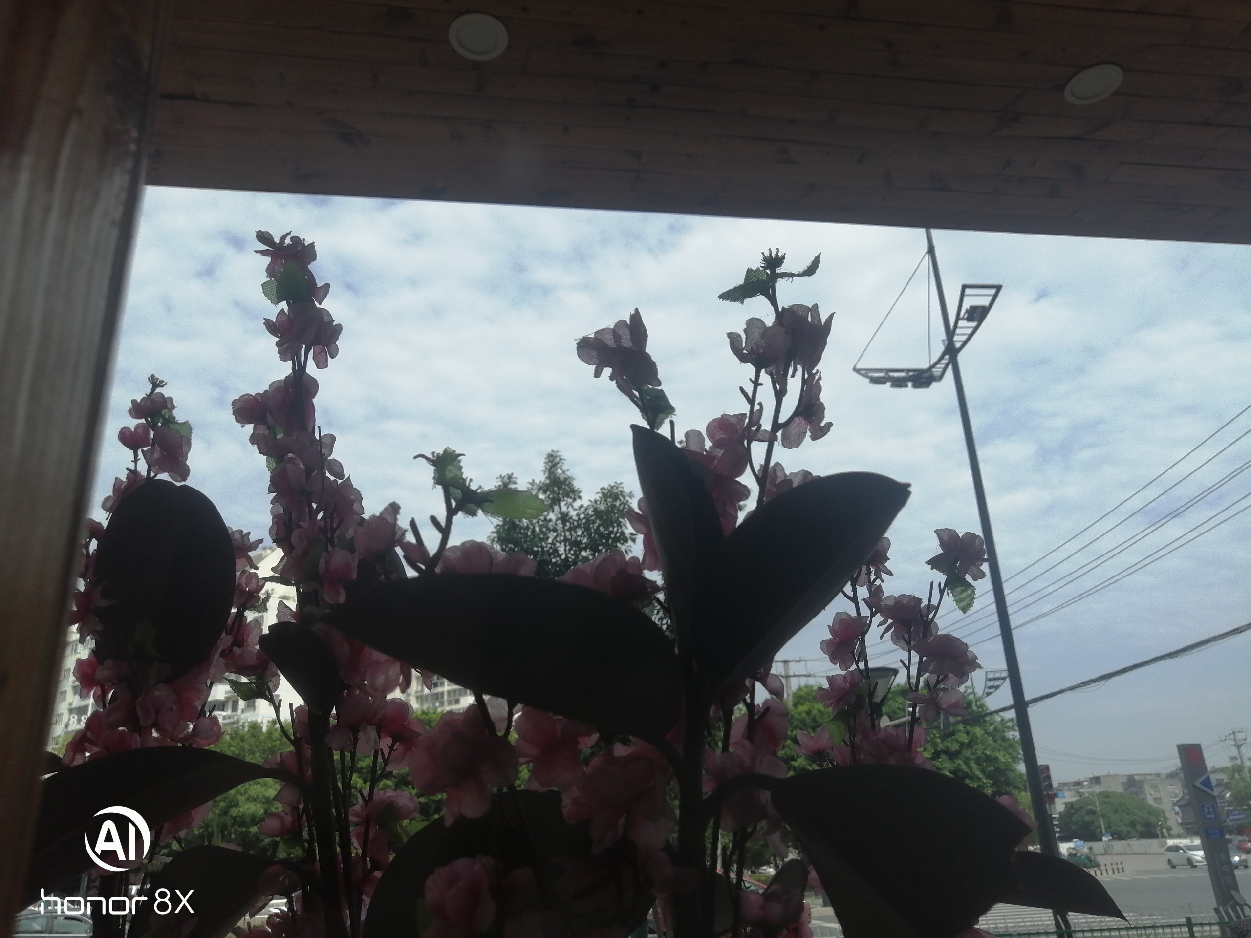 IMG_20210506_091056.jpg