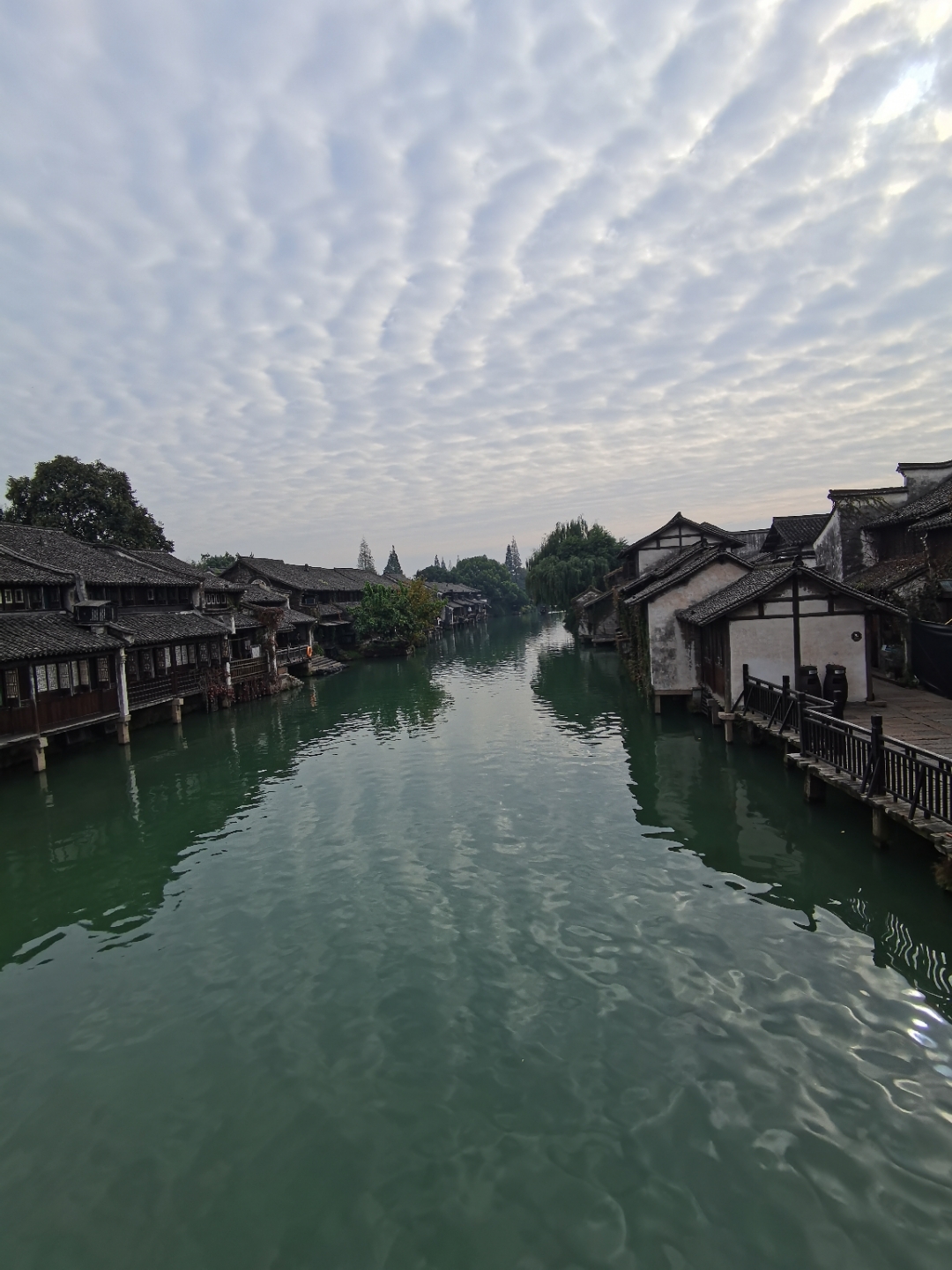 IMG_20201106_091558.jpg
