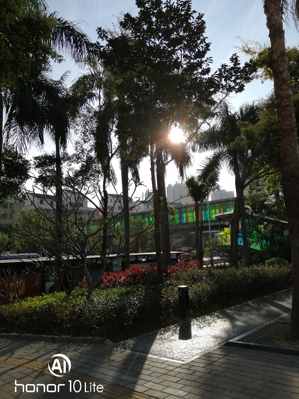 IMG_20200104_160629.jpg