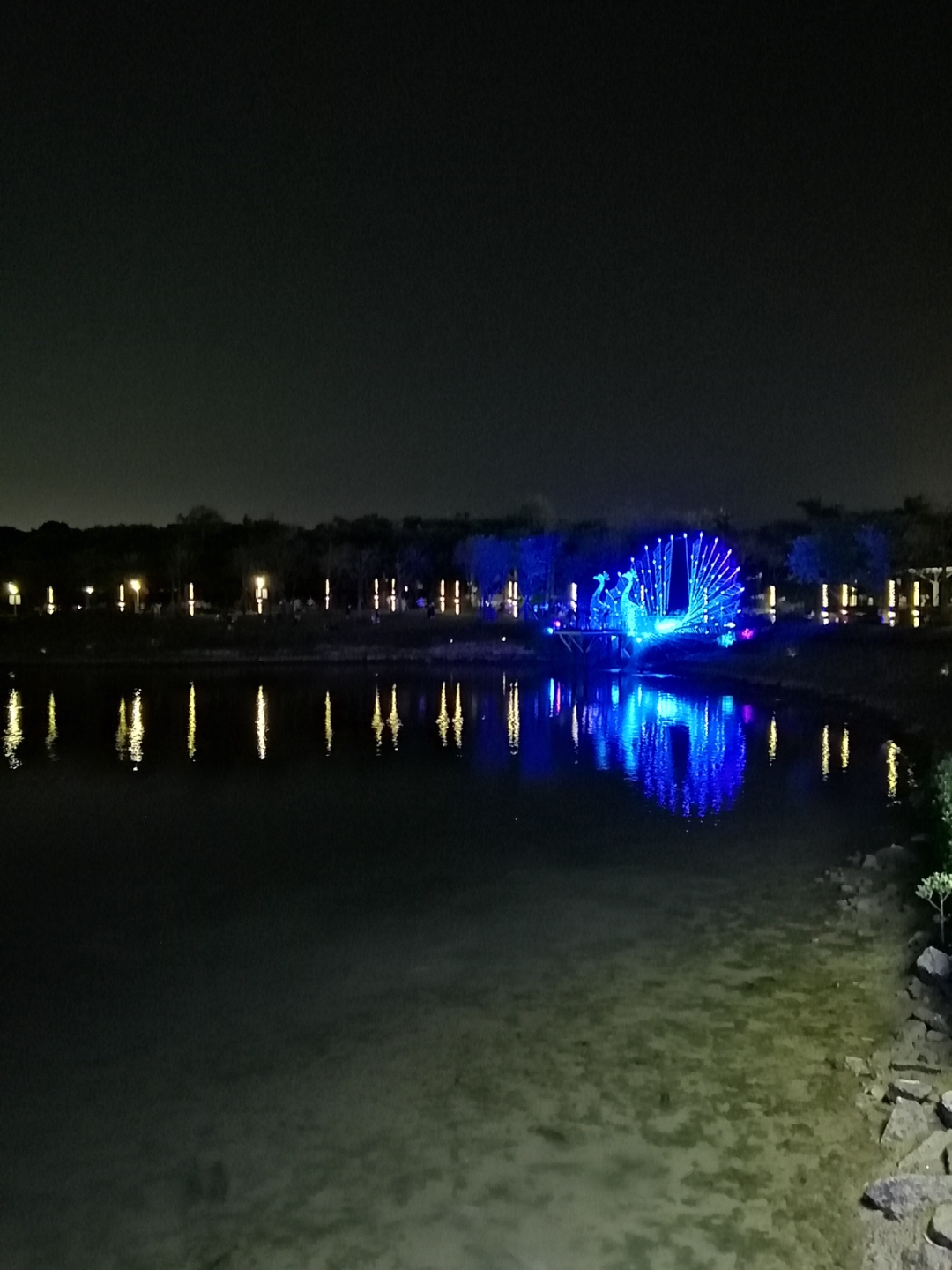 IMG_20191003_205643.jpg
