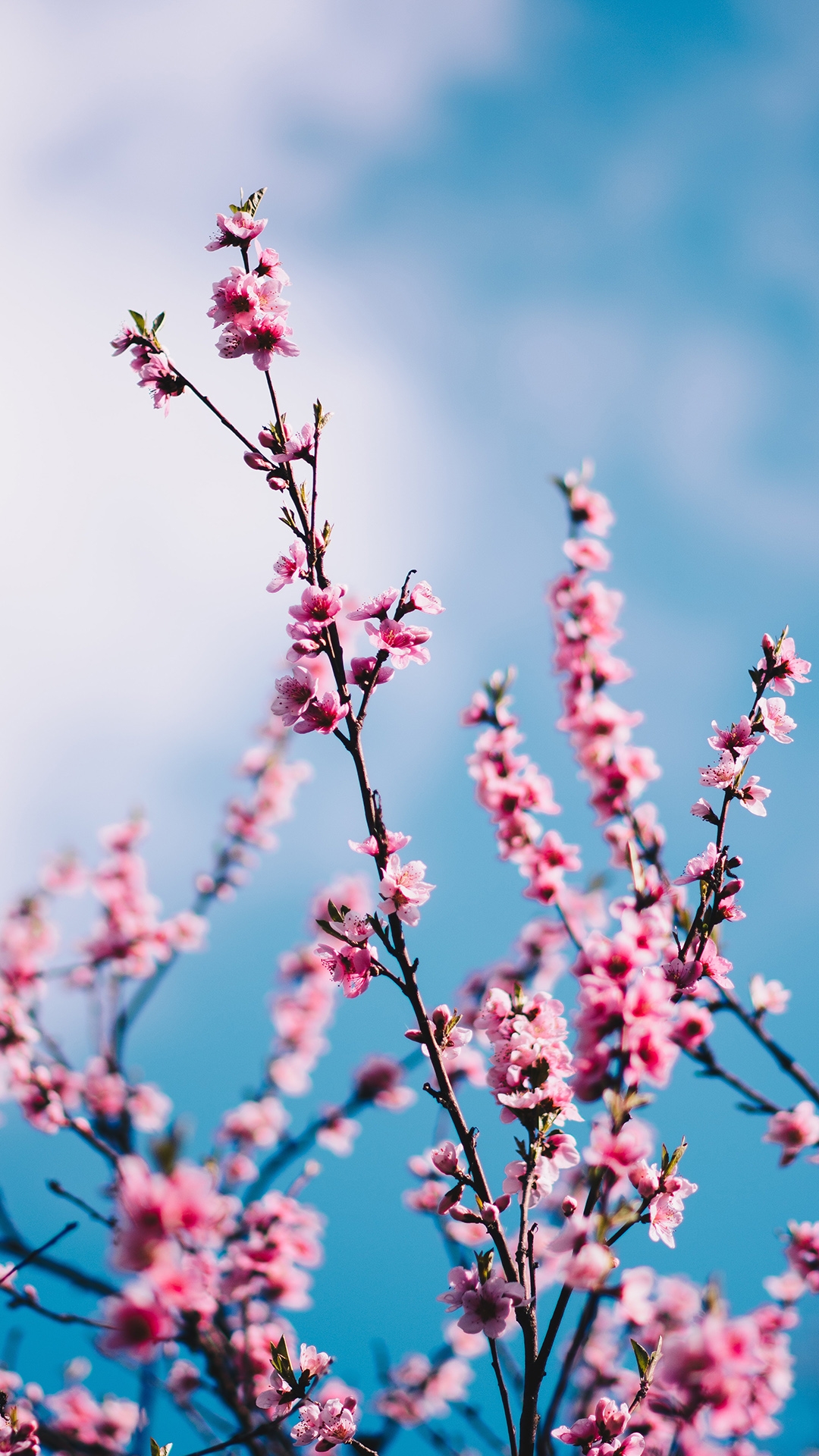 qk_wallpaper_202151713849.jpg