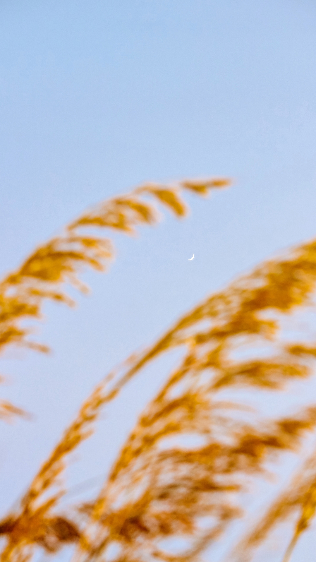 qk_wallpaper_202151713929.jpg