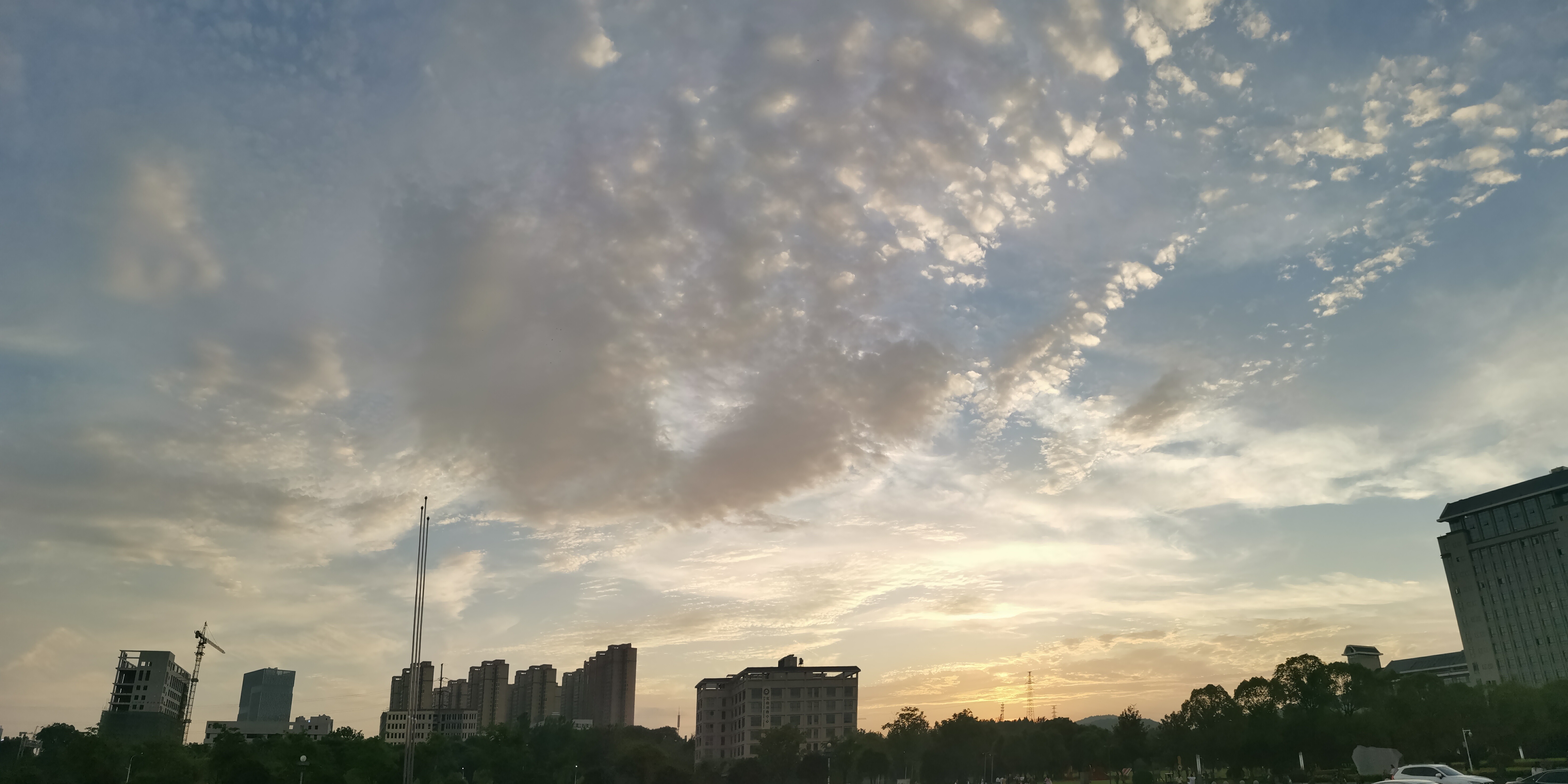 IMG_20210513_190205.jpg