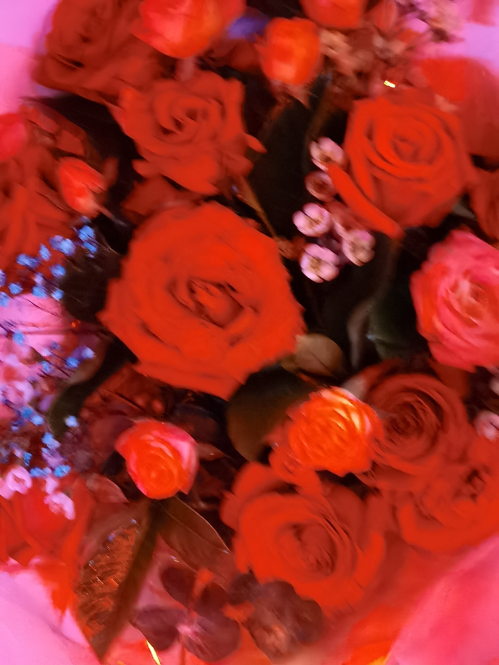 IMG_20210328_024212.jpg