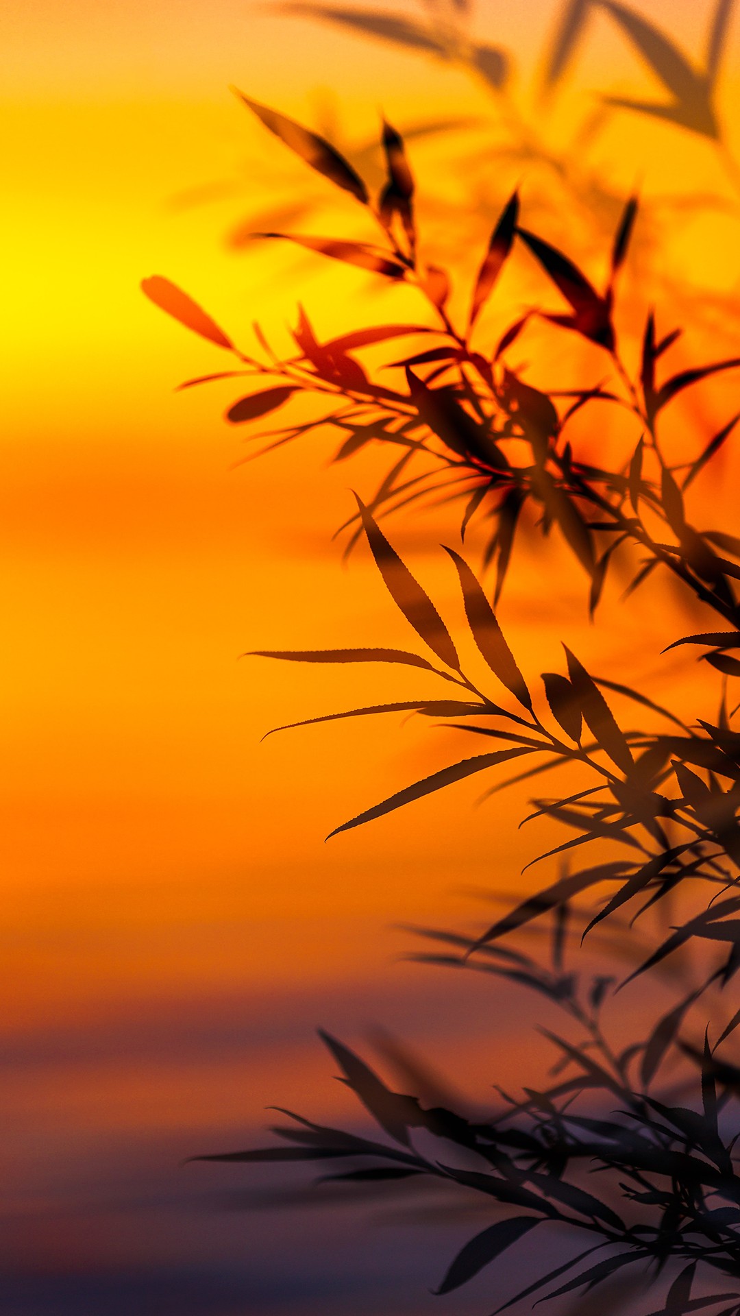qk_wallpaper_202151713811.jpg