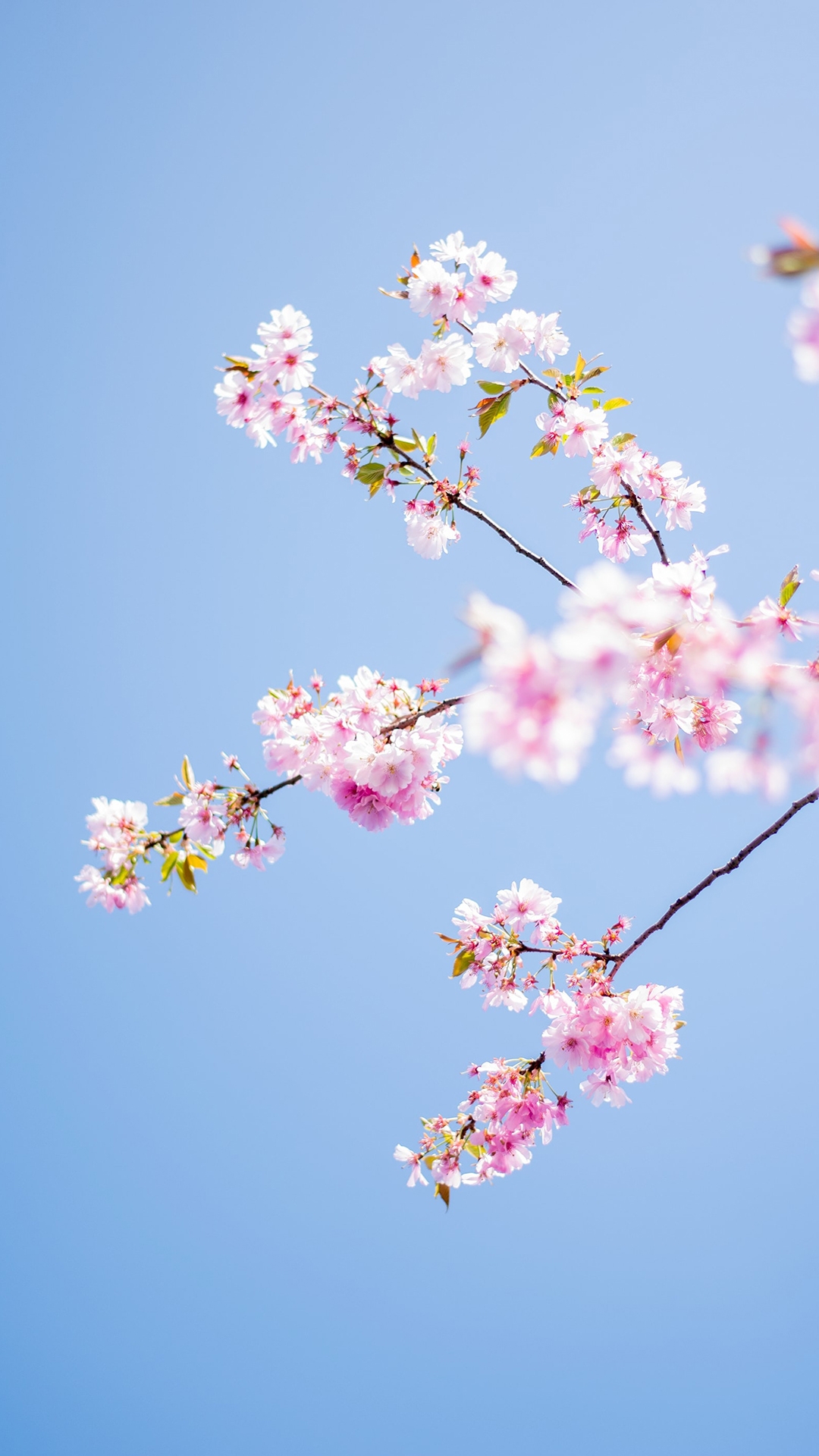 qk_wallpaper_202151713832.jpg