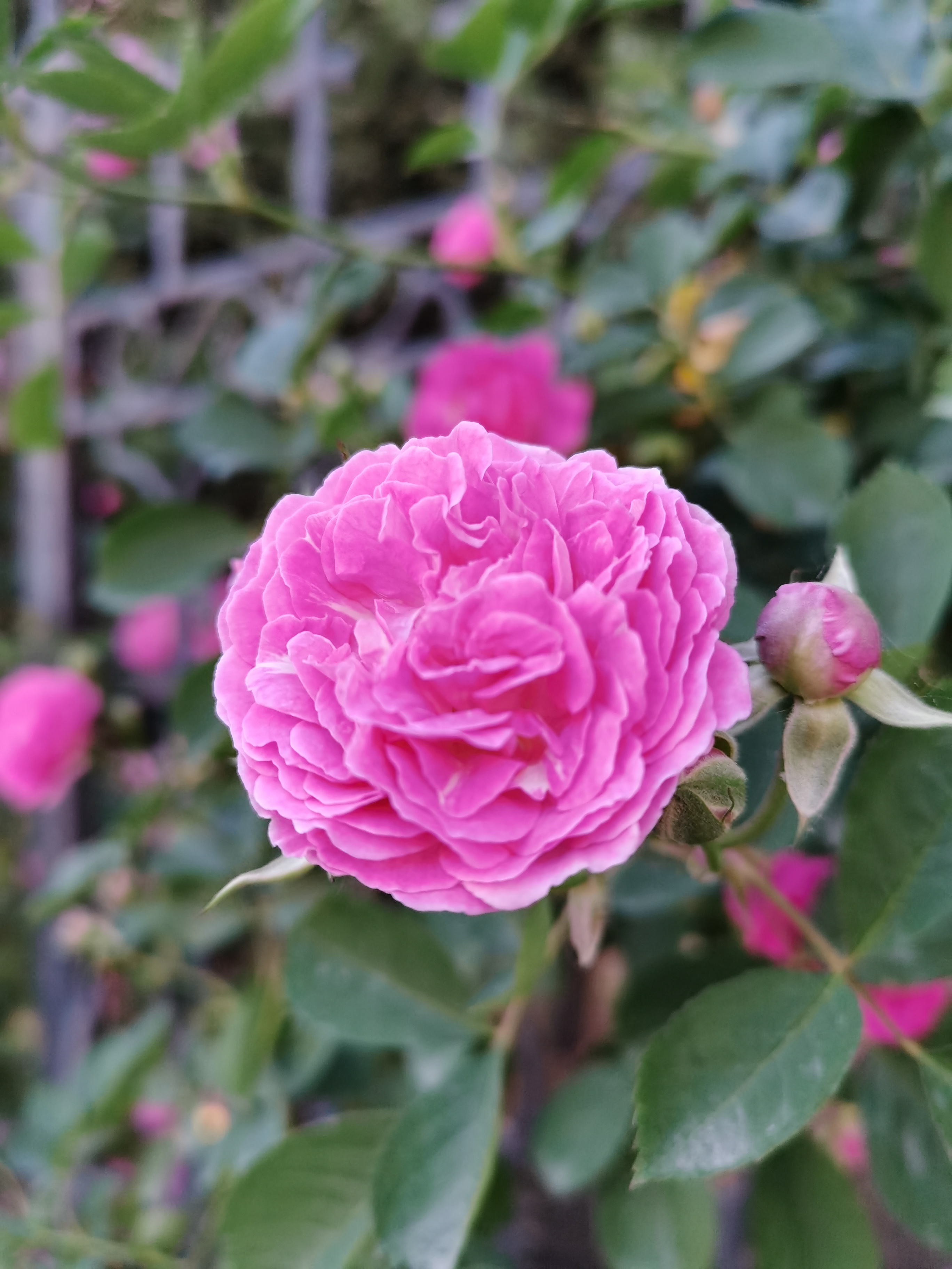 IMG_20210518_155633.jpg