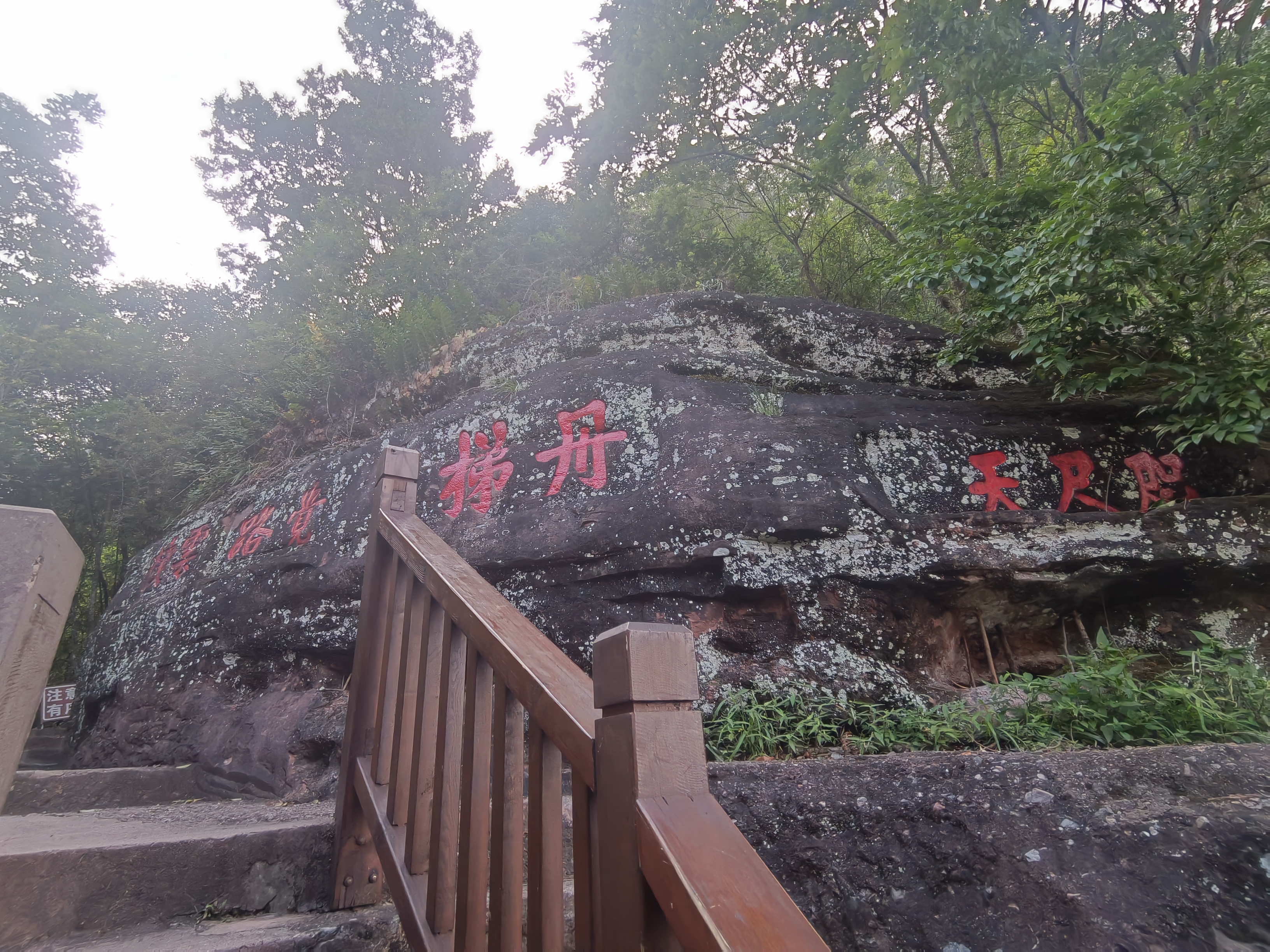 IMG_20210515_065800.jpg
