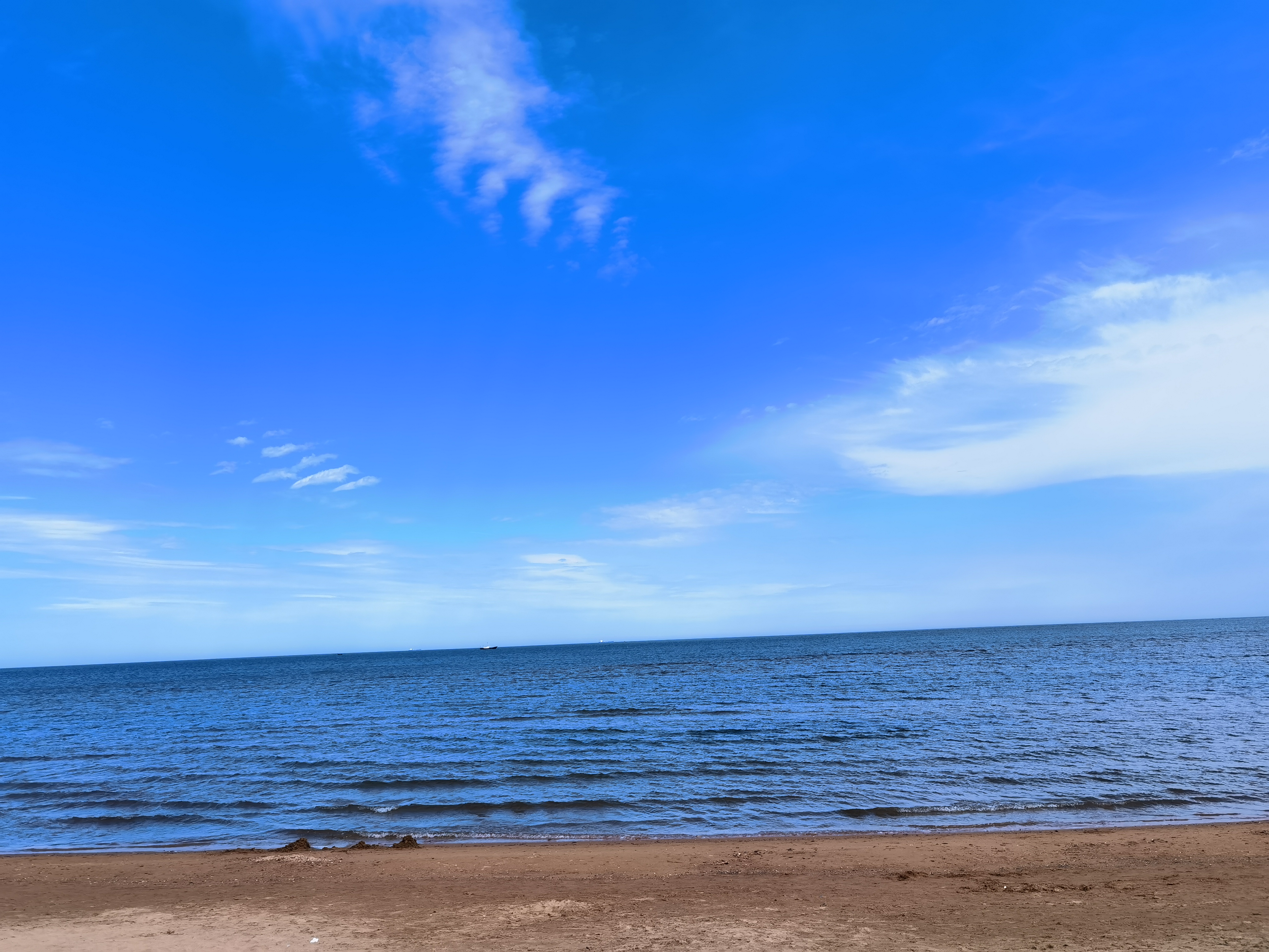 IMG_20210509_144647.jpg