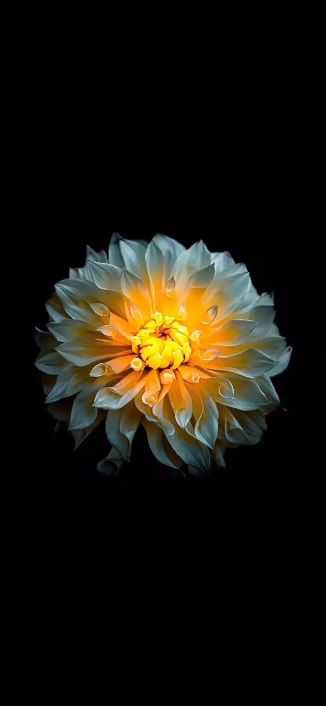 5cf279462ad89a7c8963697a7ef54d58.jpg
