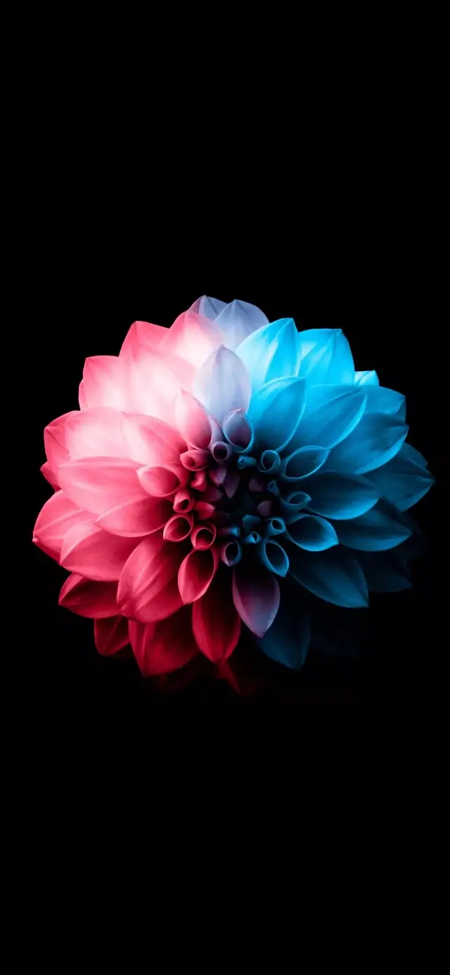 0657b6d77d5d9d9f77d668b1a0eb81ed.jpg
