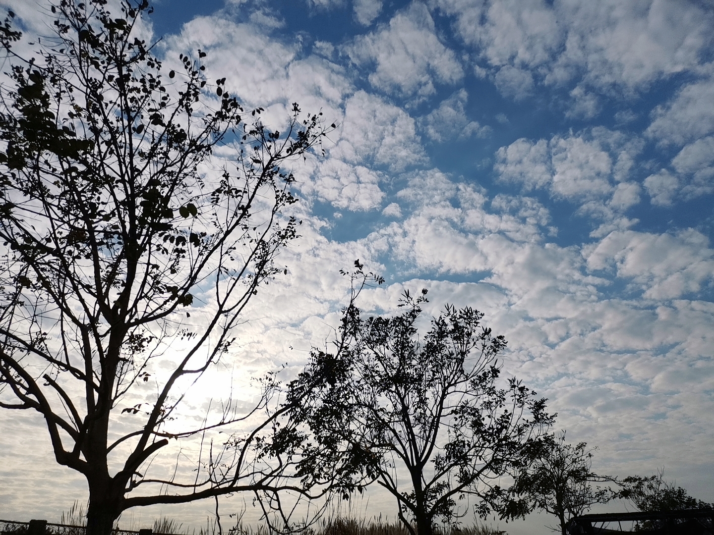MTXX_20210116163116.jpg
