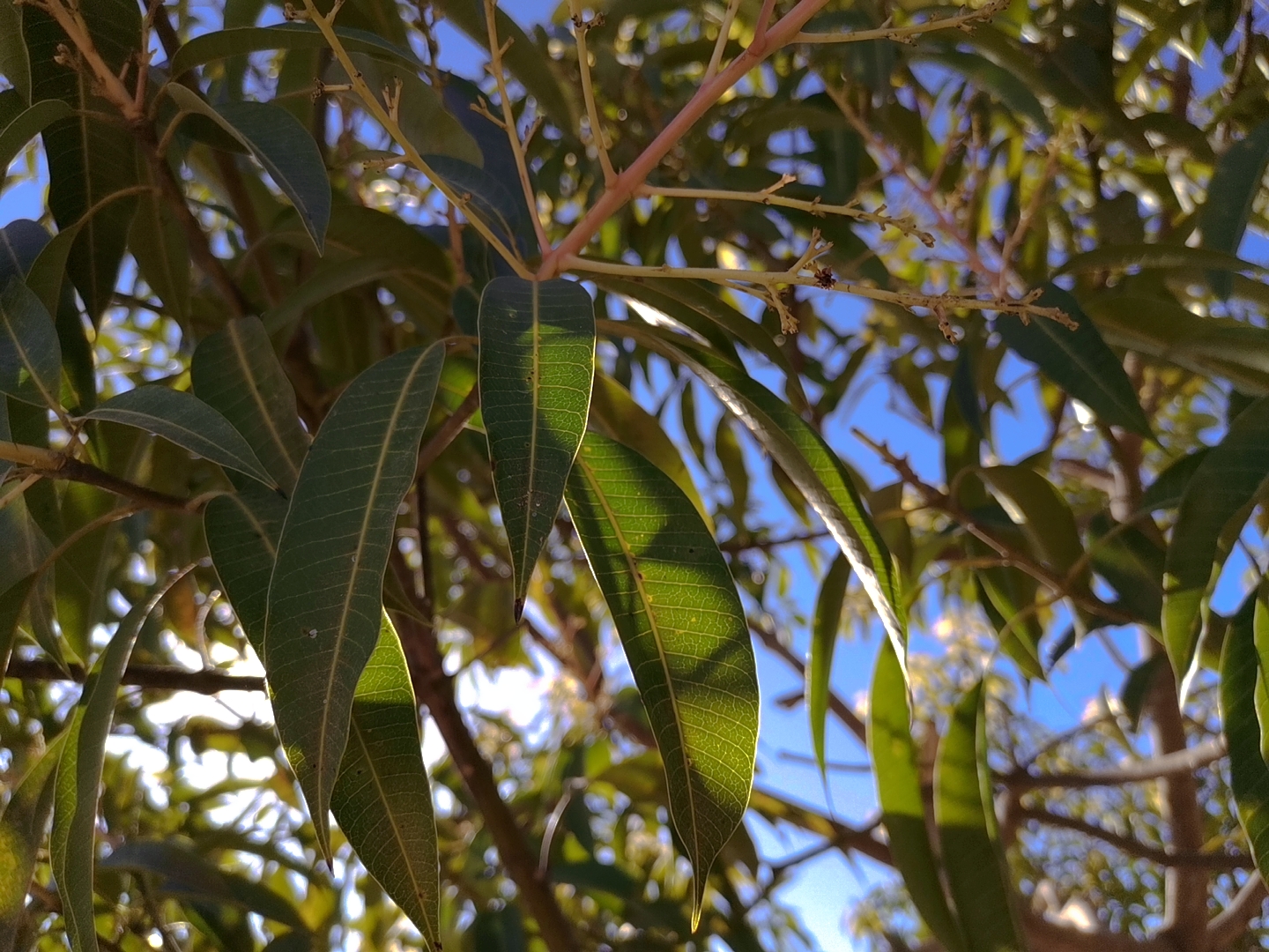 MTXX_20210113100839.jpg