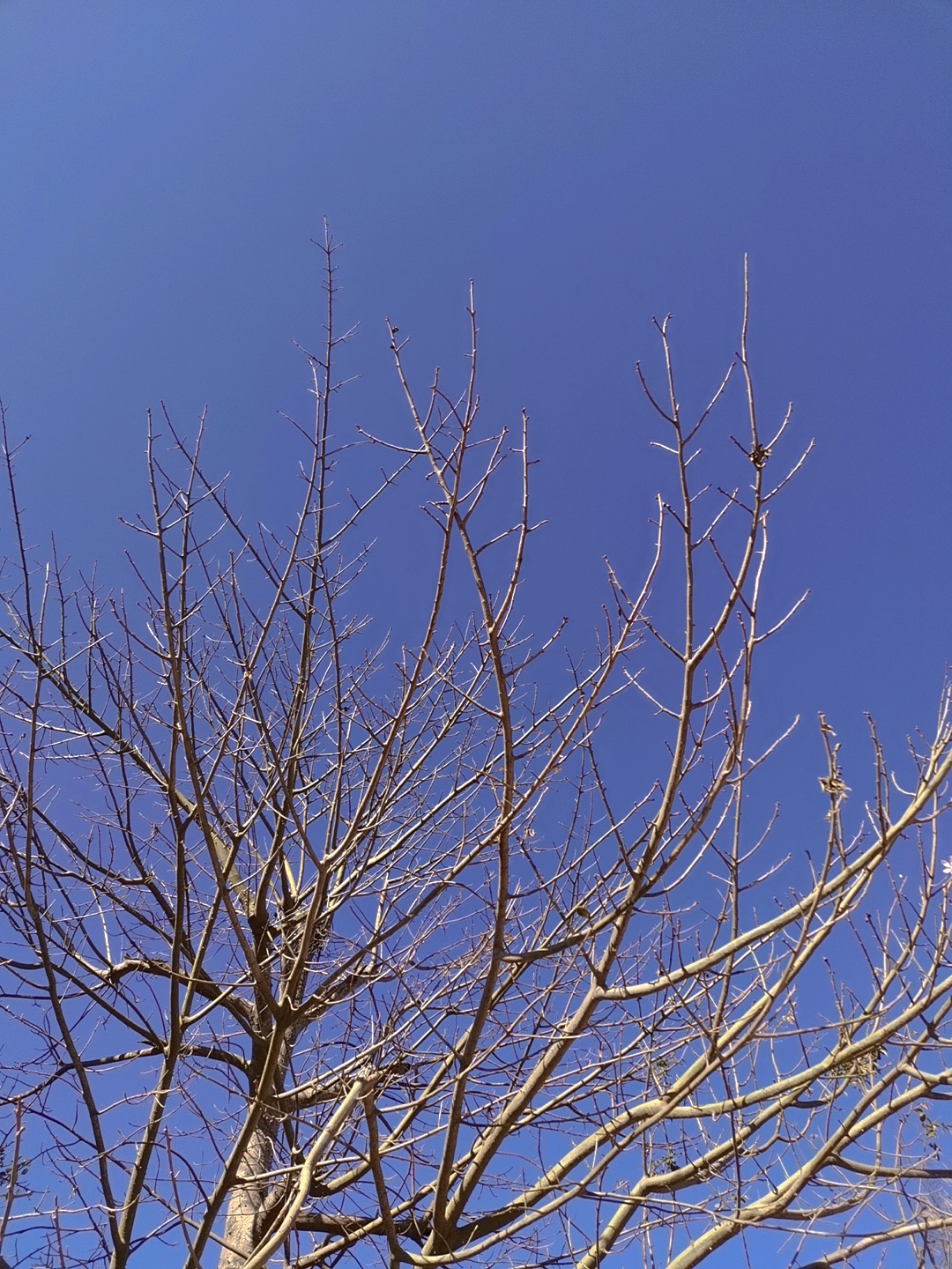 MTXX_20210113111712.jpg