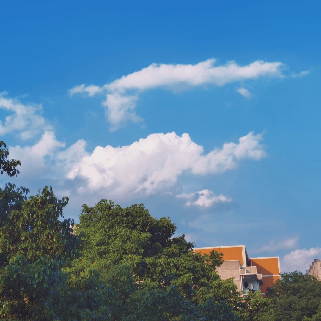 retouch_2021050918150987.jpg