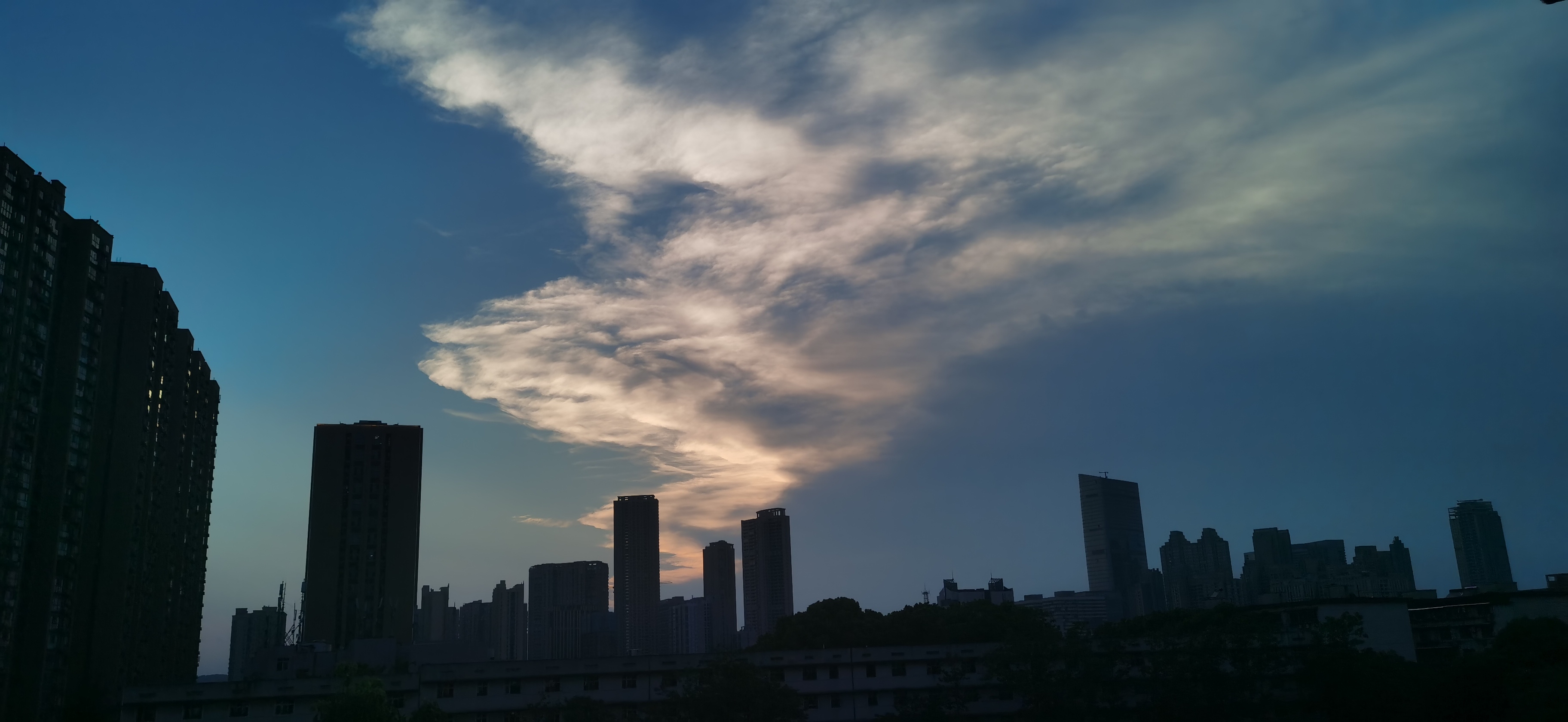 IMG_20210515_185710.jpg
