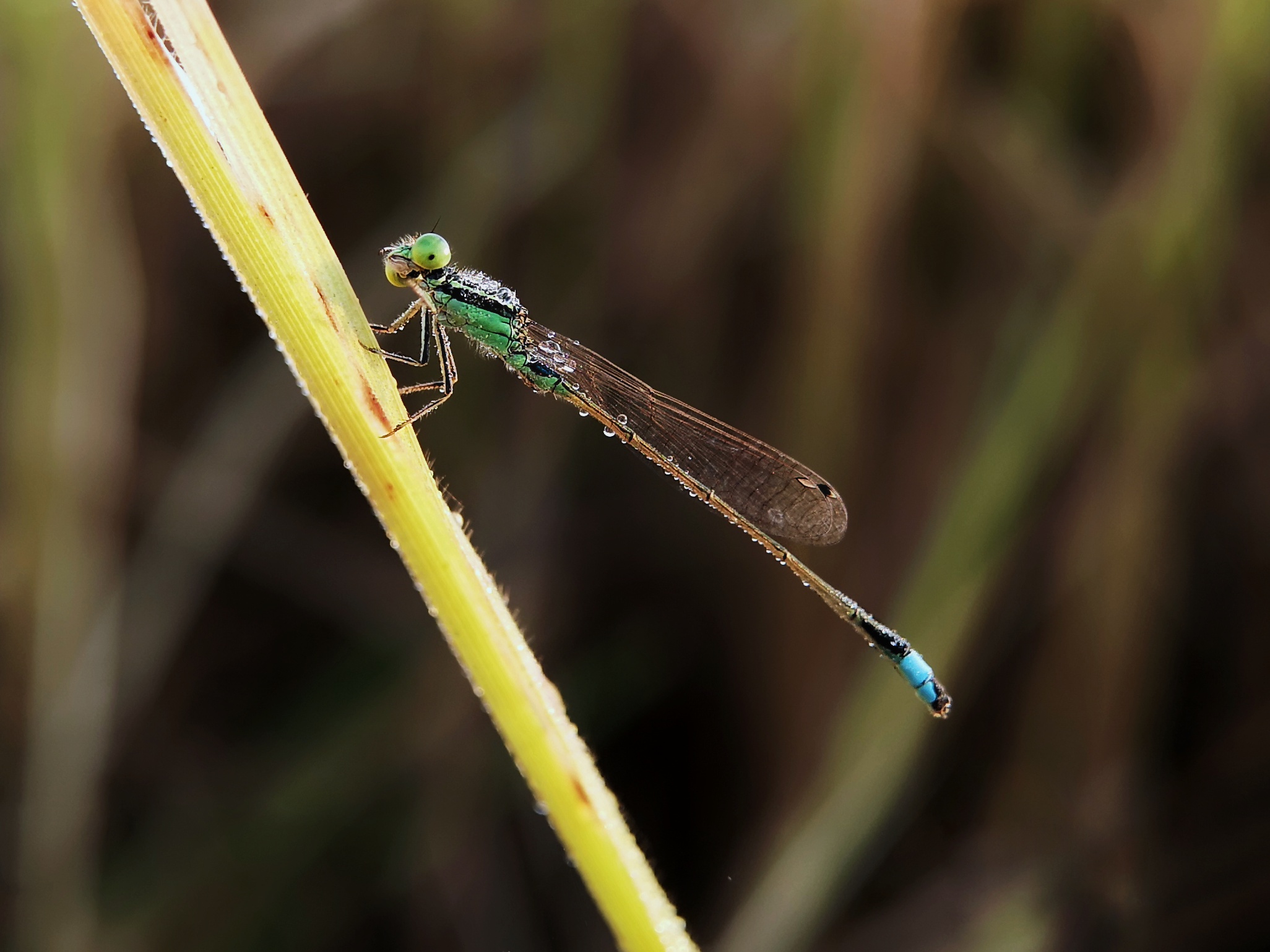 d5721c9d9462365.jpg