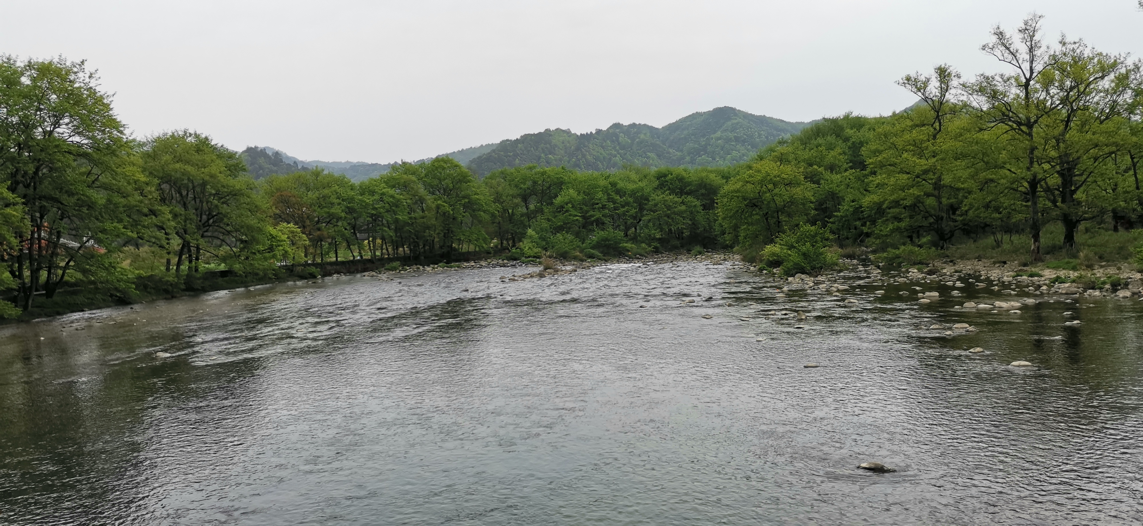 IMG_20210417_123020.jpg