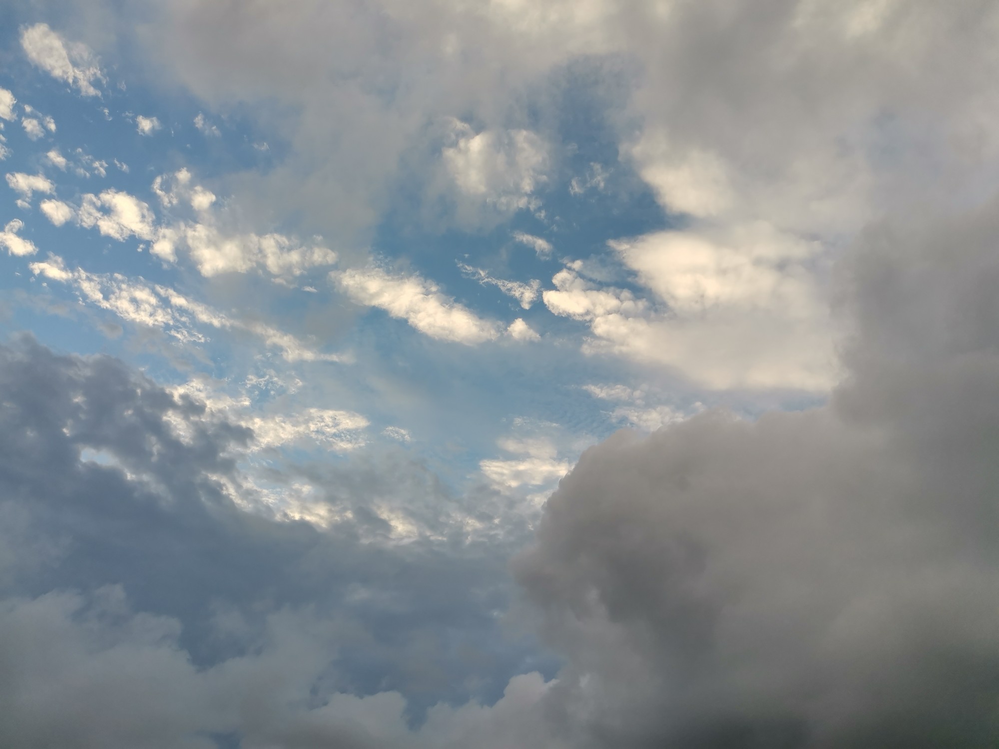 IMG_20210516_184615.jpg